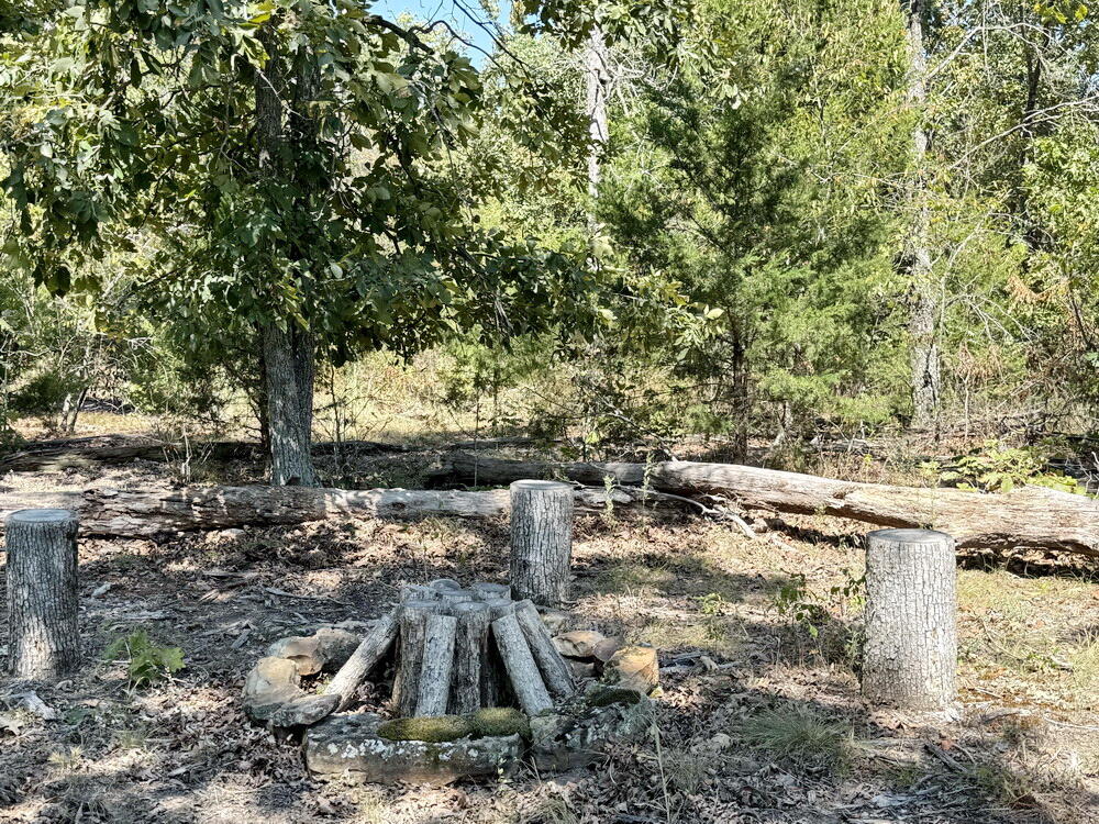 Photo 20 - Land for sale – 000 SE 500 Road  Collins, MO