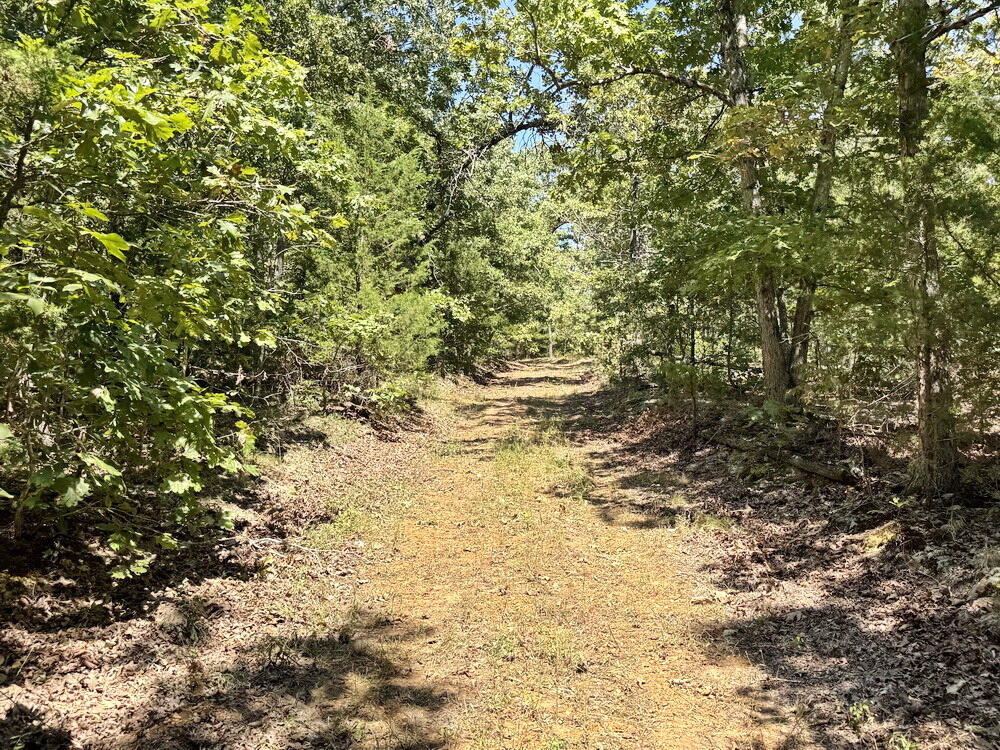 Photo 16 - Land for sale – 000 SE 500 Road  Collins, MO