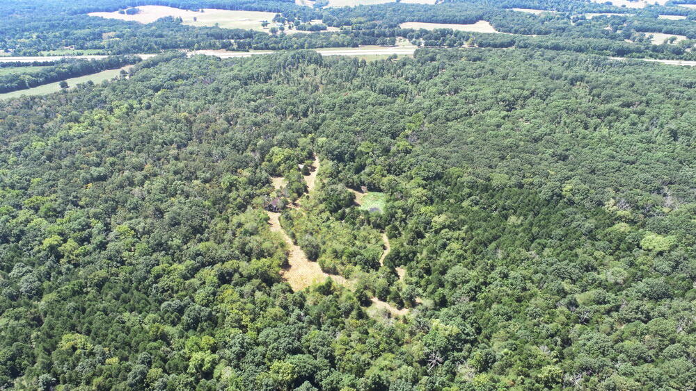 Photo 39 - Land for sale – 000 SE 500 Road  Collins, MO