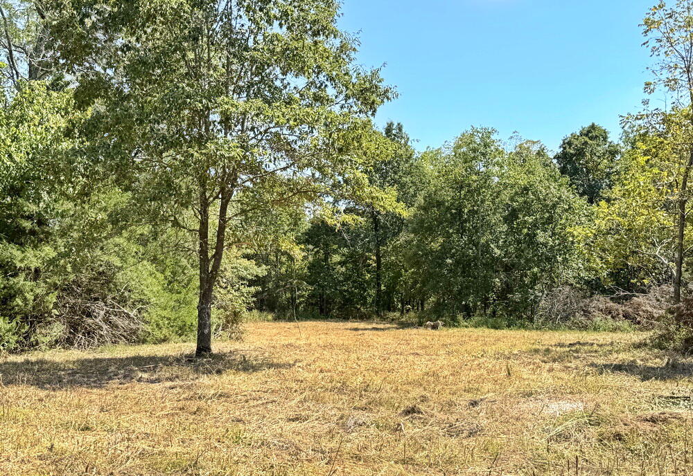 Photo 26 - Land for sale – 000 SE 500 Road  Collins, MO