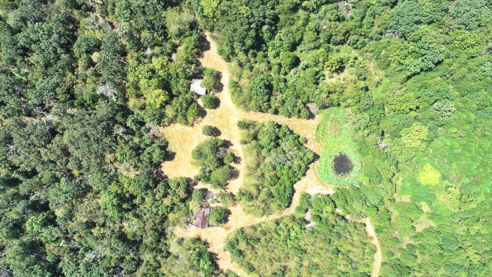 Photo 41 - Land for sale – 000 SE 500 Road  Collins, MO