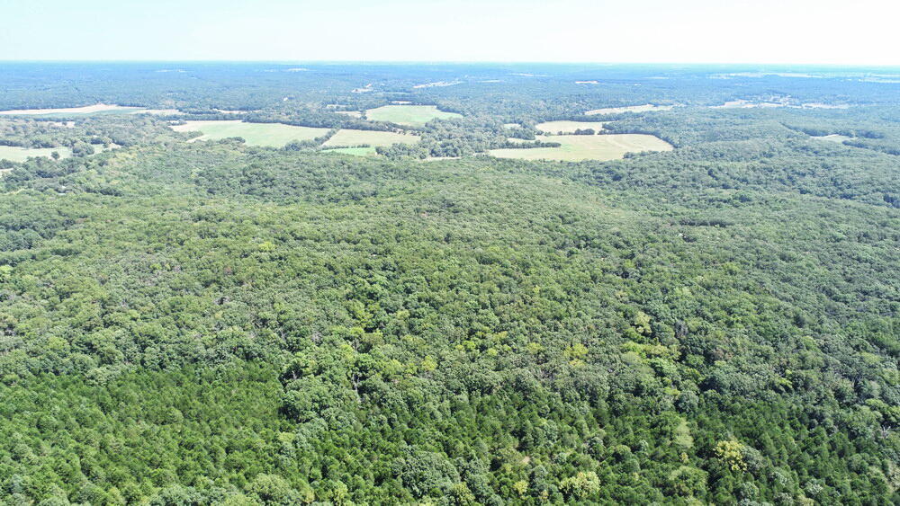Photo 42 - Land for sale – 000 SE 500 Road  Collins, MO