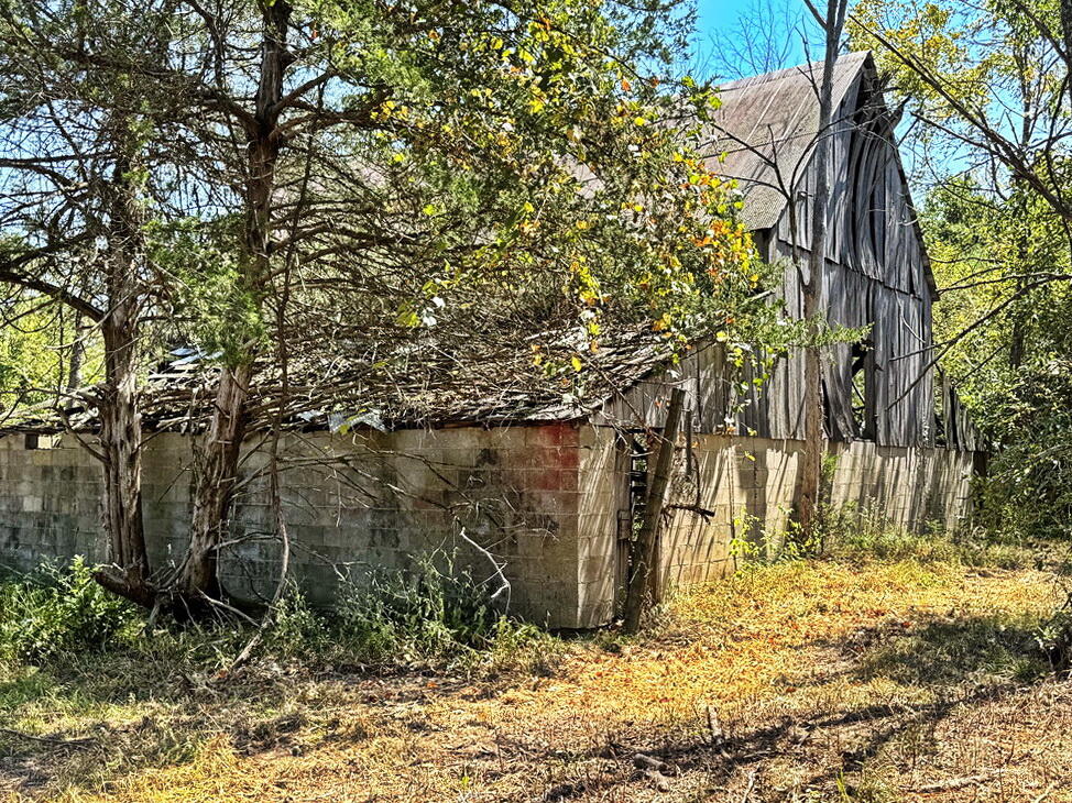 Photo 28 - Land for sale – 000 SE 500 Road  Collins, MO