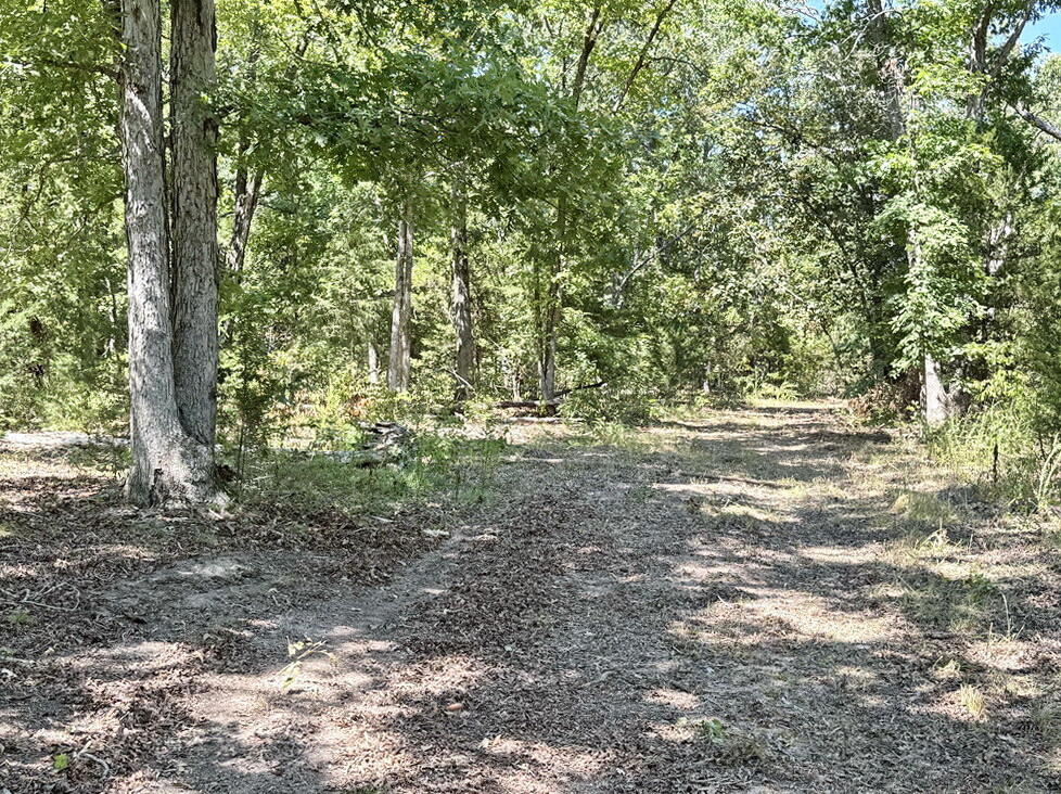 Photo 21 - Land for sale – 000 SE 500 Road  Collins, MO