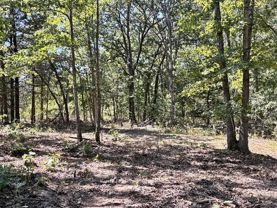 Photo 9 - Land for sale – 000 SE 500 Road  Collins, MO