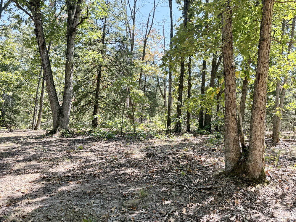 Photo 37 - Land for sale – 000 SE 500 Road  Collins, MO