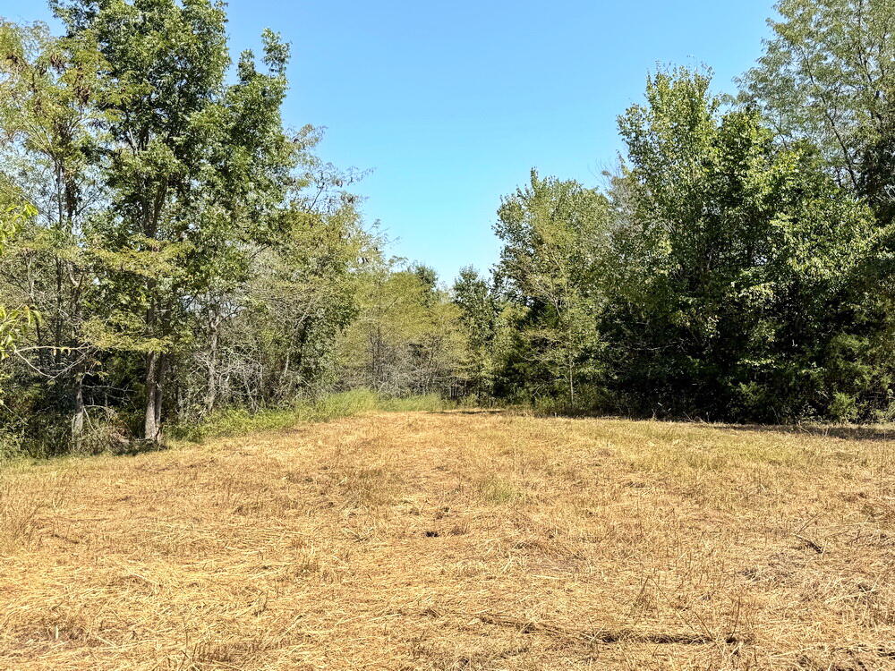 Photo 24 - Land for sale – 000 SE 500 Road  Collins, MO