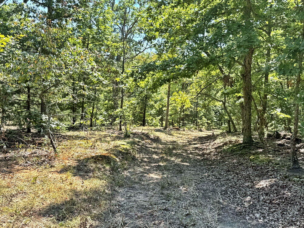 Photo 33 - Land for sale – 000 SE 500 Road  Collins, MO
