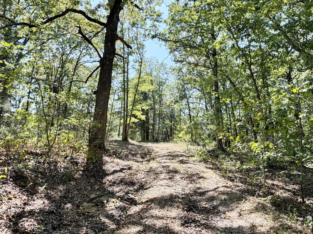Photo 36 - Land for sale – 000 SE 500 Road  Collins, MO