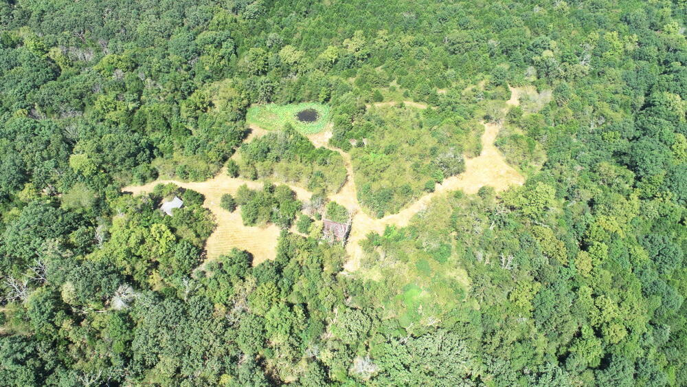 Photo 40 - Land for sale – 000 SE 500 Road  Collins, MO