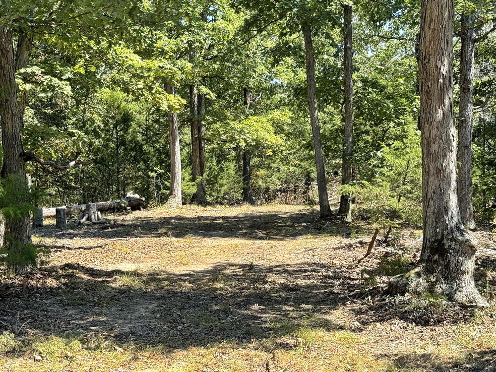 Photo 32 - Land for sale – 000 SE 500 Road  Collins, MO