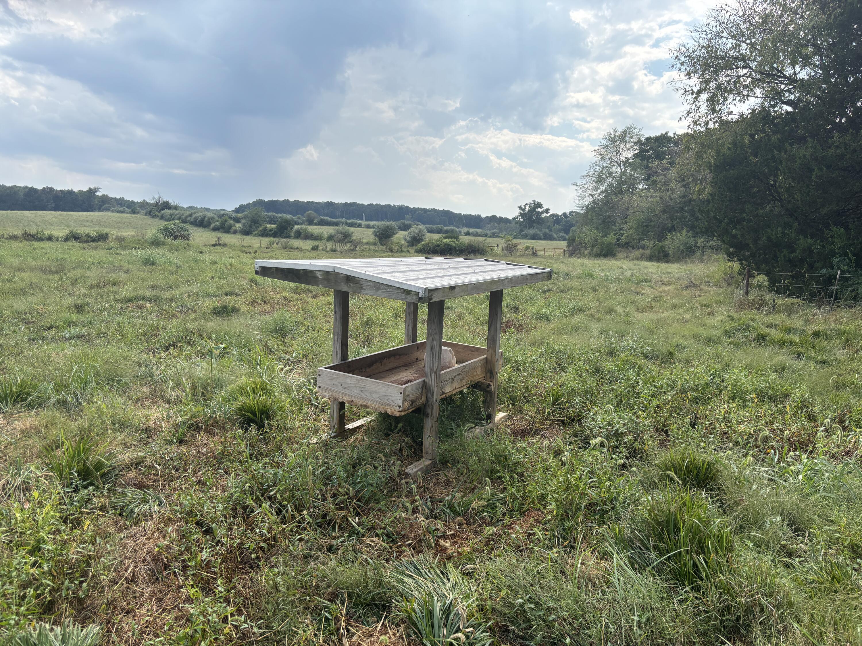 Photo 19 - Land for sale – Tbd  Co Rd 4040   Rolla, MO