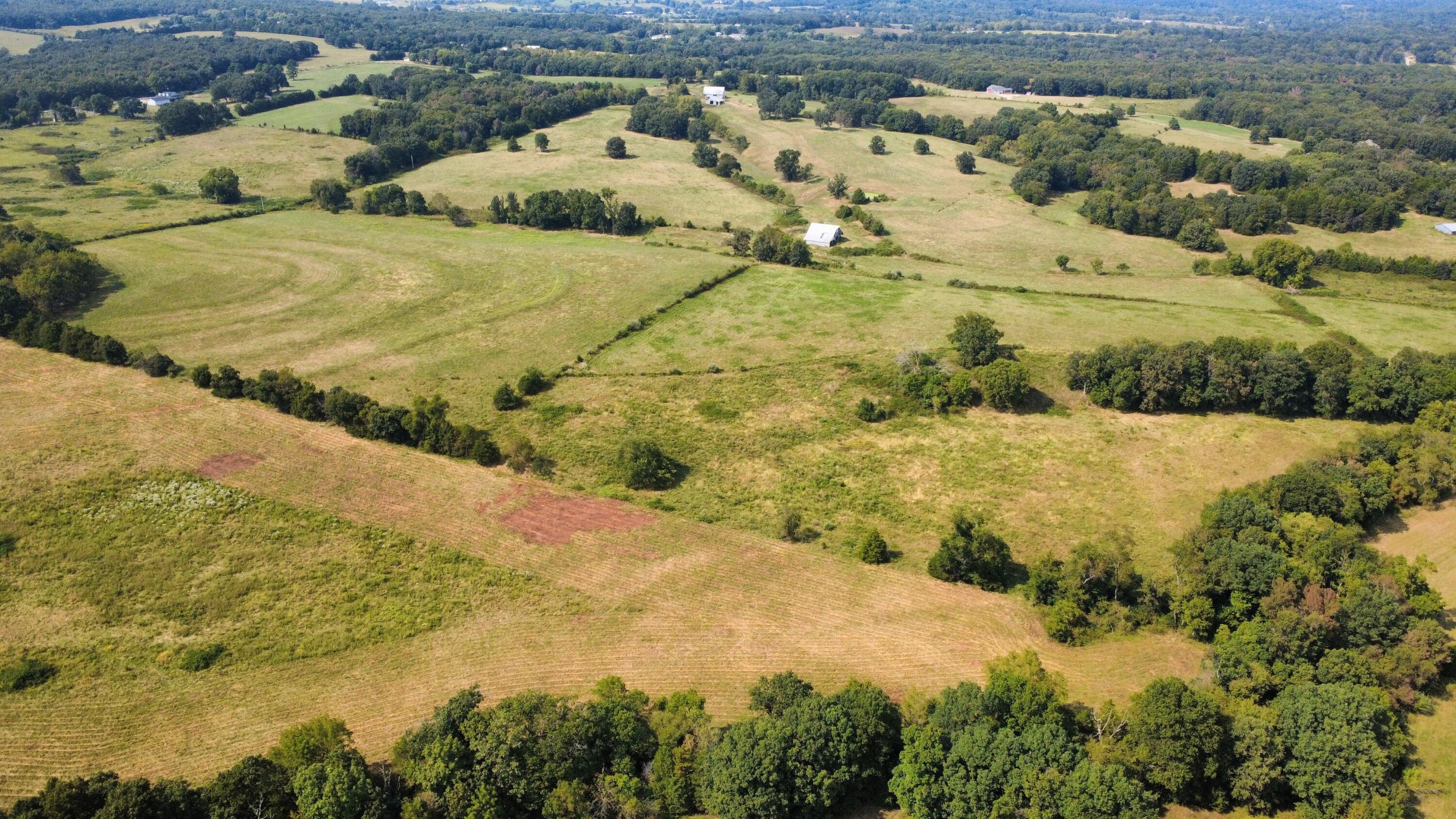 Photo 29 - Land for sale – Tbd  Co Rd 4040   Rolla, MO