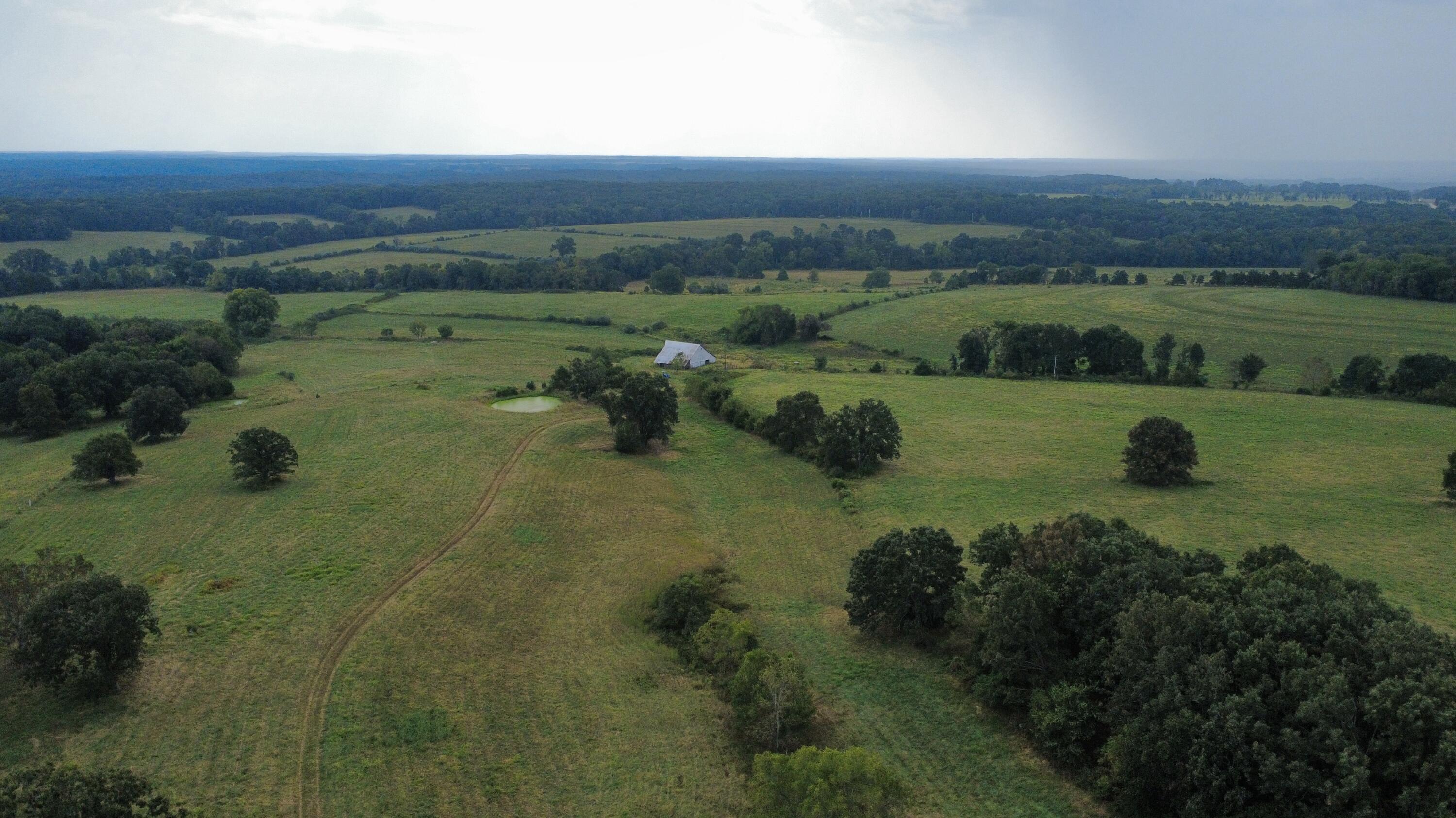 Photo 33 - Land for sale – Tbd  Co Rd 4040   Rolla, MO