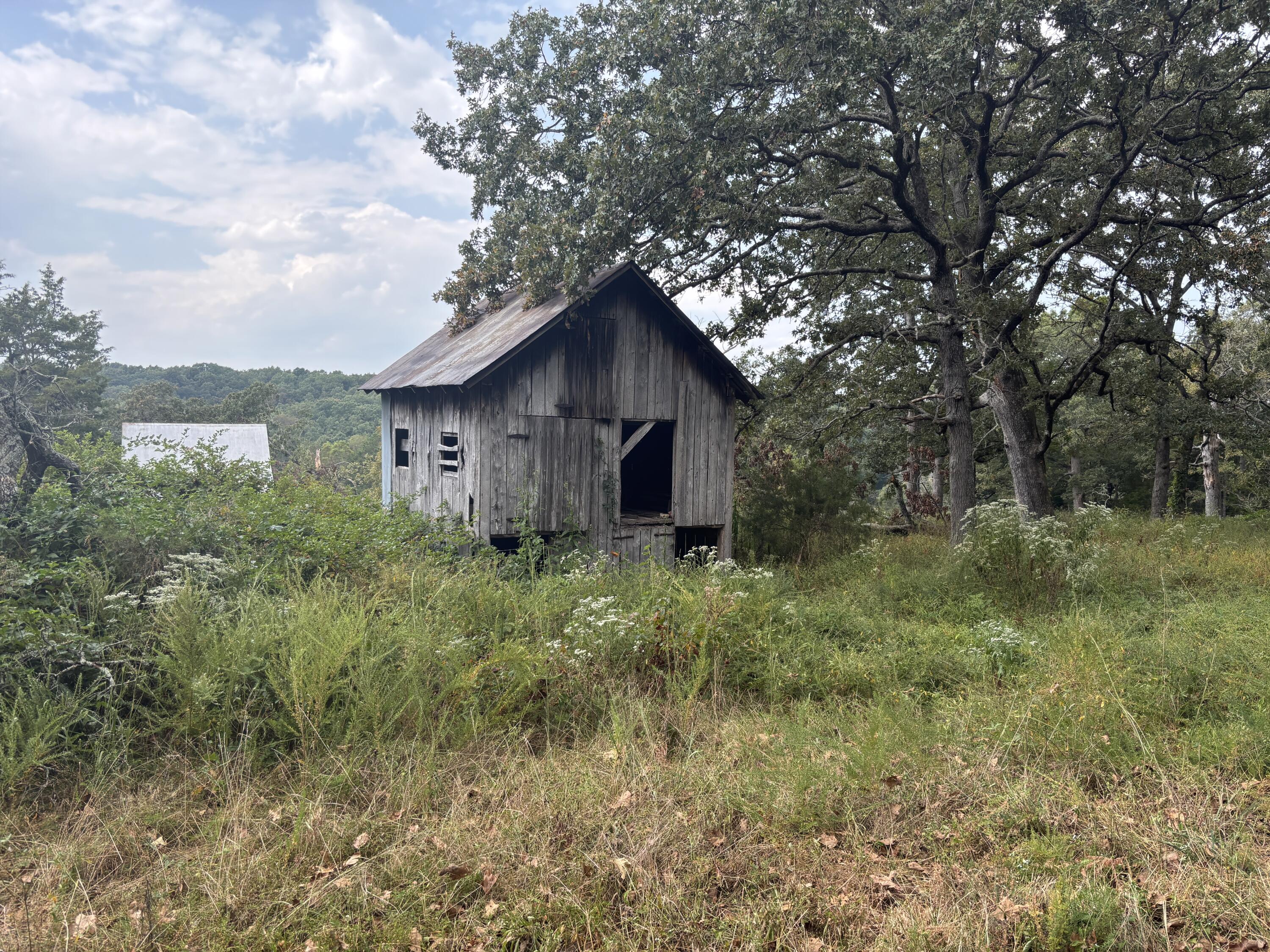 Photo 11 - Land for sale – Tbd  Co Rd 4040   Rolla, MO