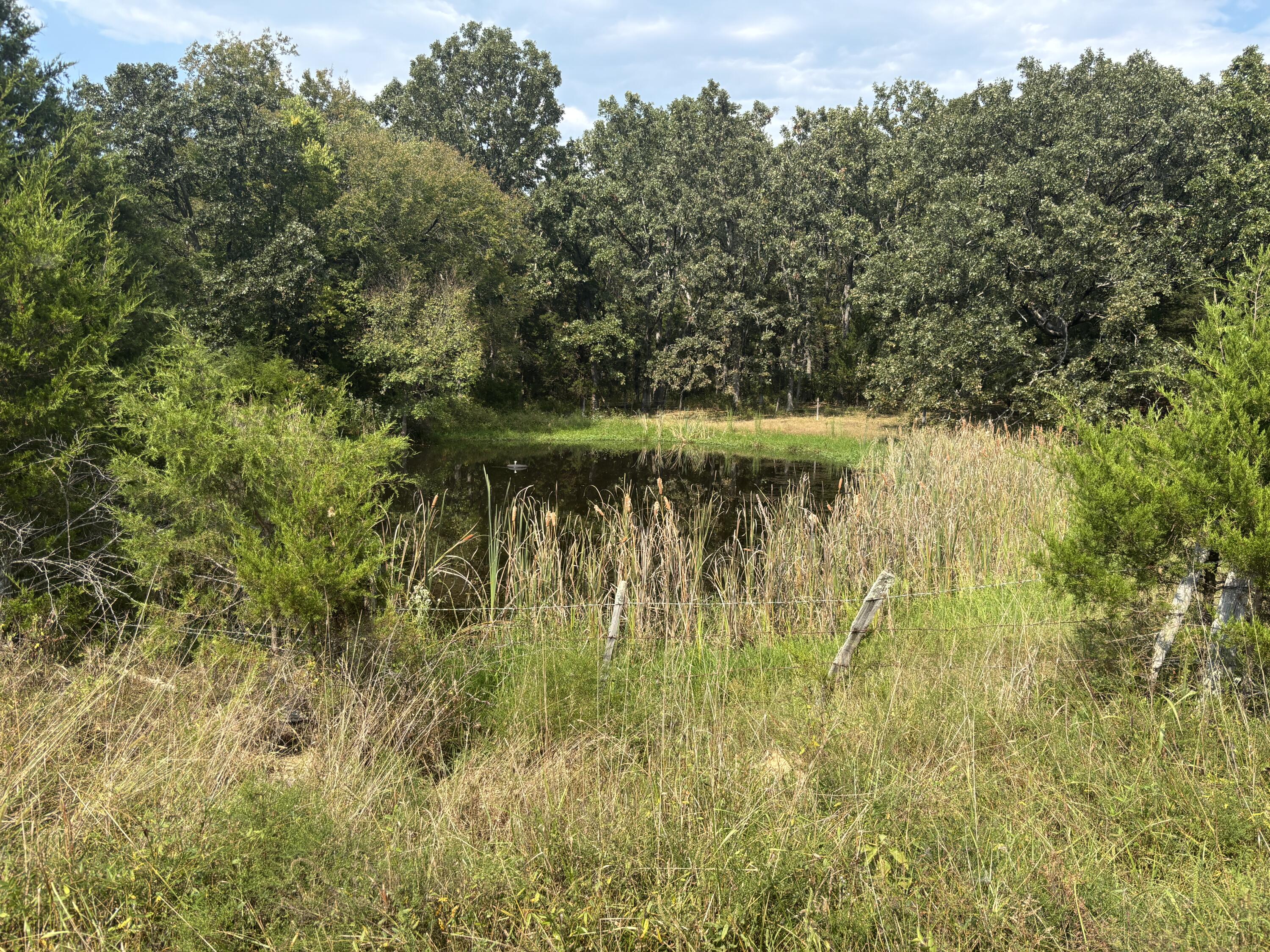 Photo 23 - Land for sale – Tbd  Co Rd 4040   Rolla, MO
