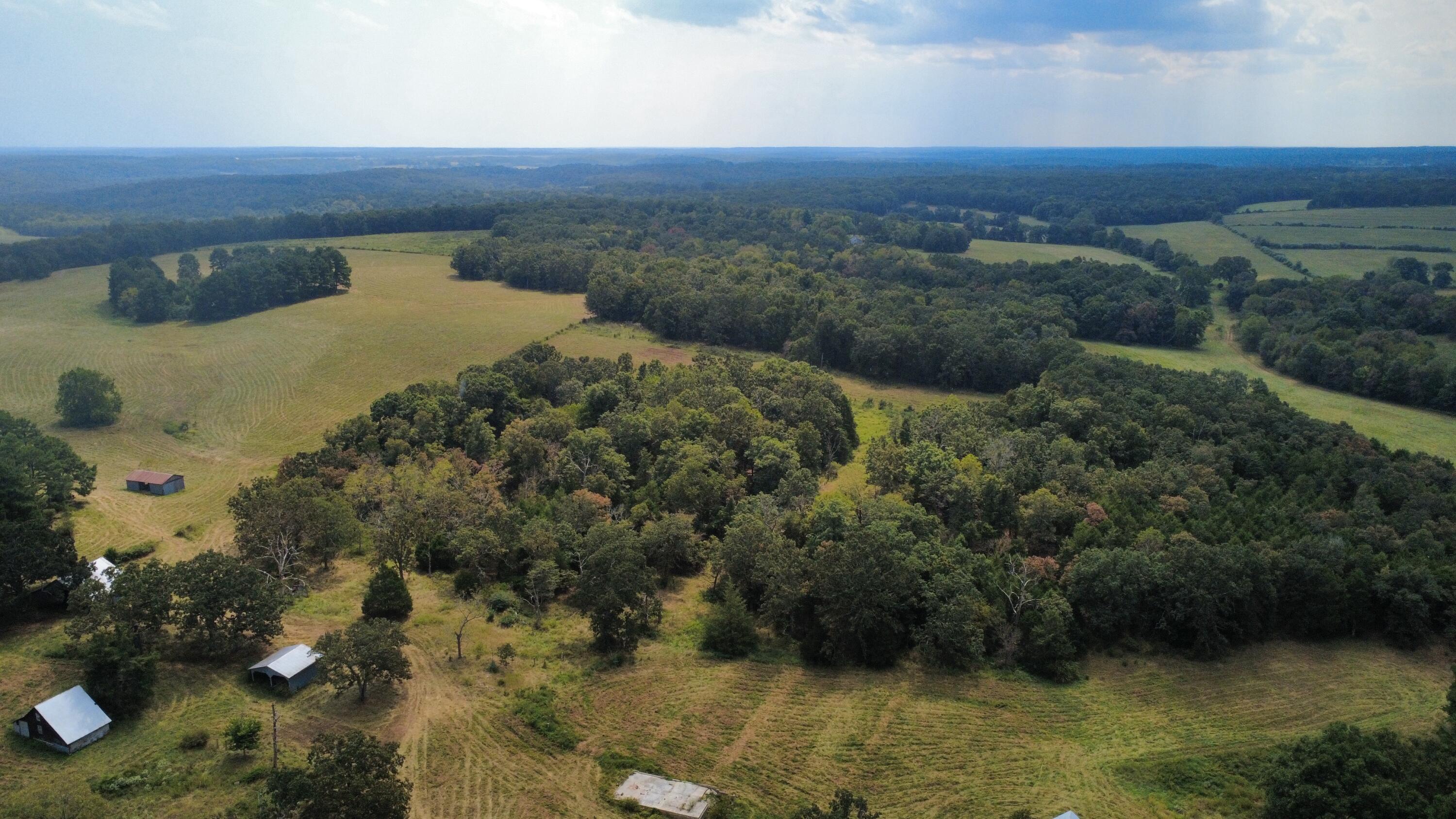 Photo 34 - Land for sale – Tbd  Co Rd 4040   Rolla, MO