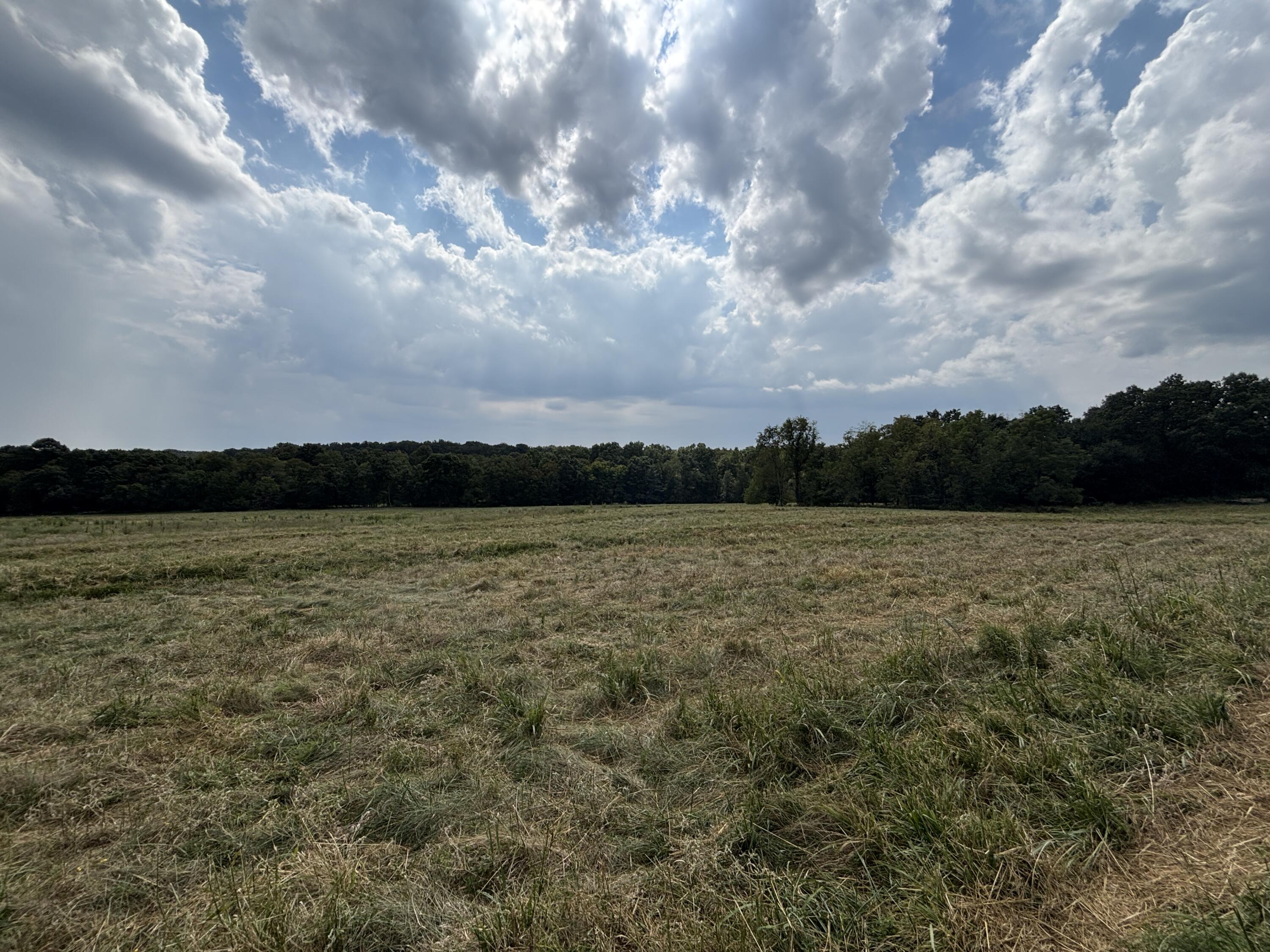 Photo 44 - Land for sale – Tbd  Co Rd 4040   Rolla, MO