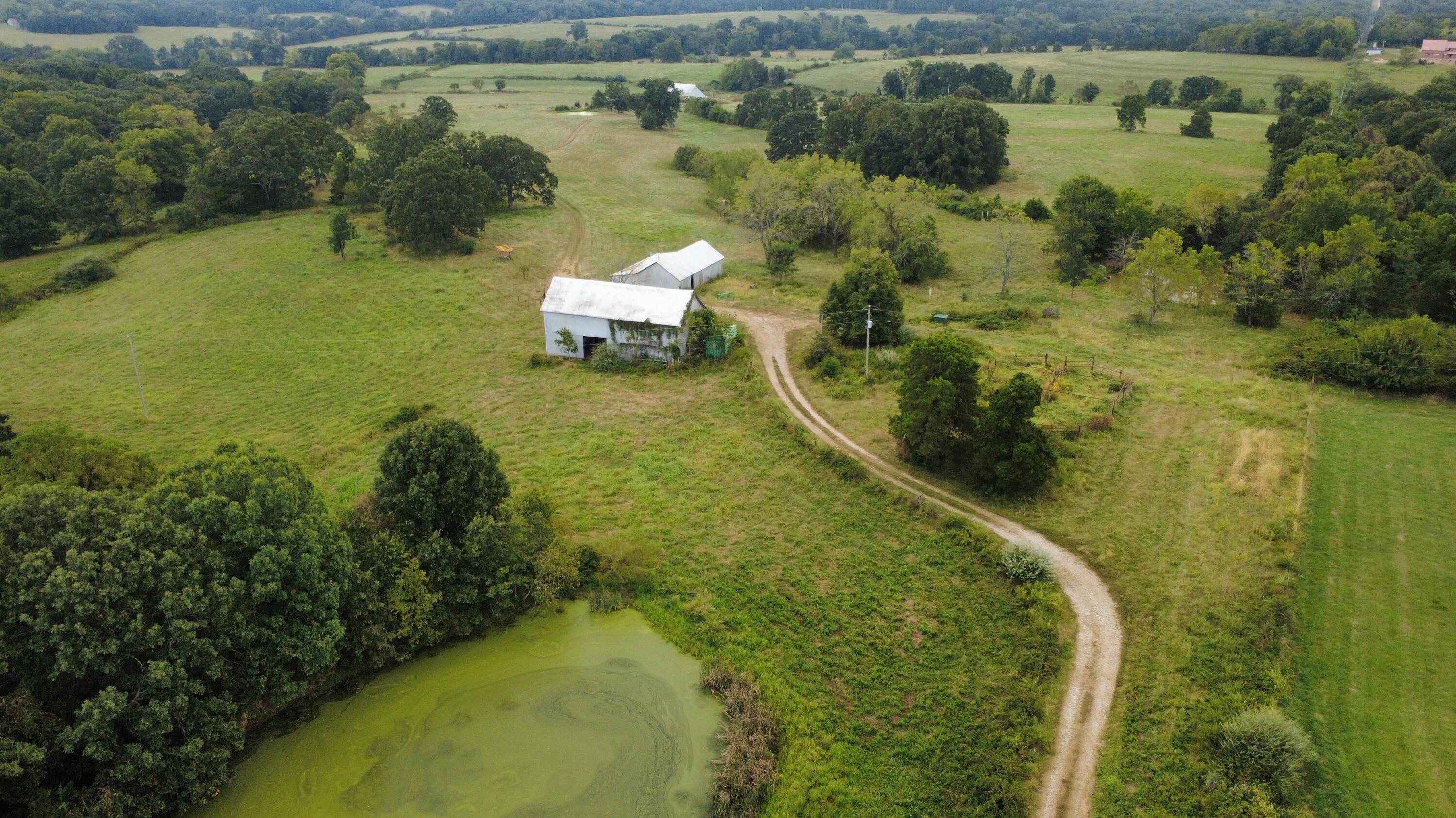 Photo 4 - Land for sale – Tbd  Co Rd 4040   Rolla, MO