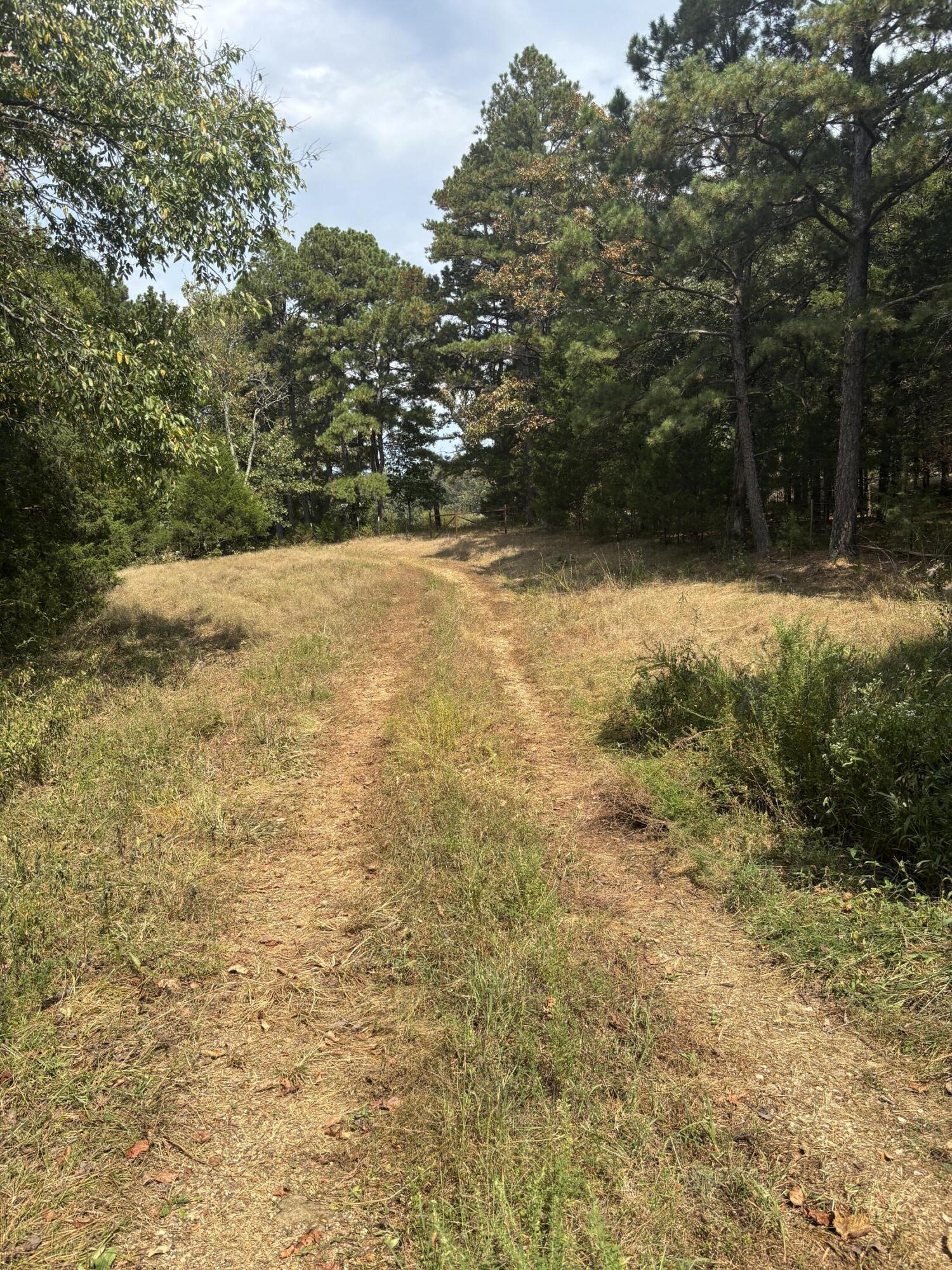 Photo 17 - Land for sale – Tbd  Co Rd 4040   Rolla, MO