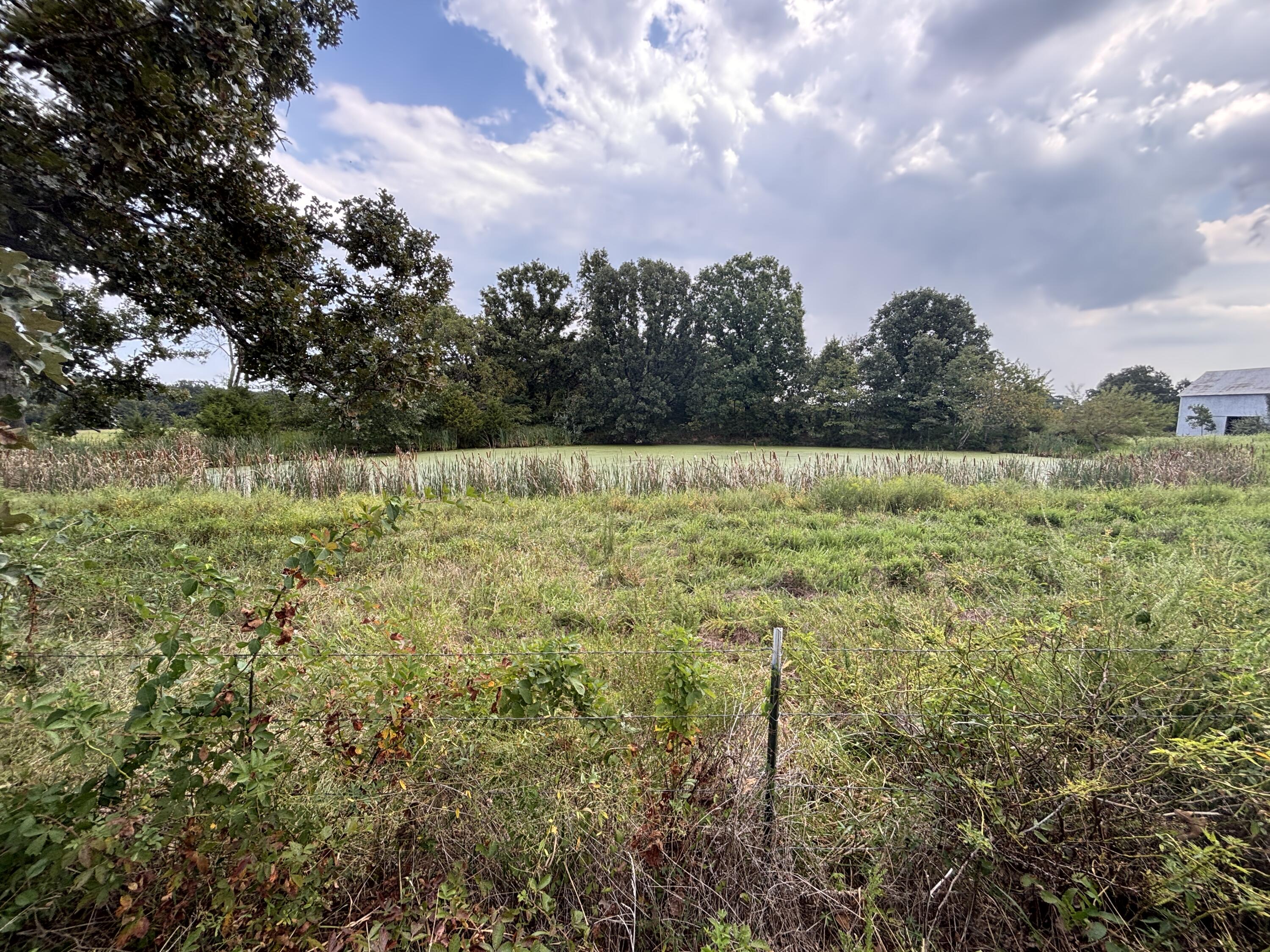 Photo 49 - Land for sale – Tbd  Co Rd 4040   Rolla, MO