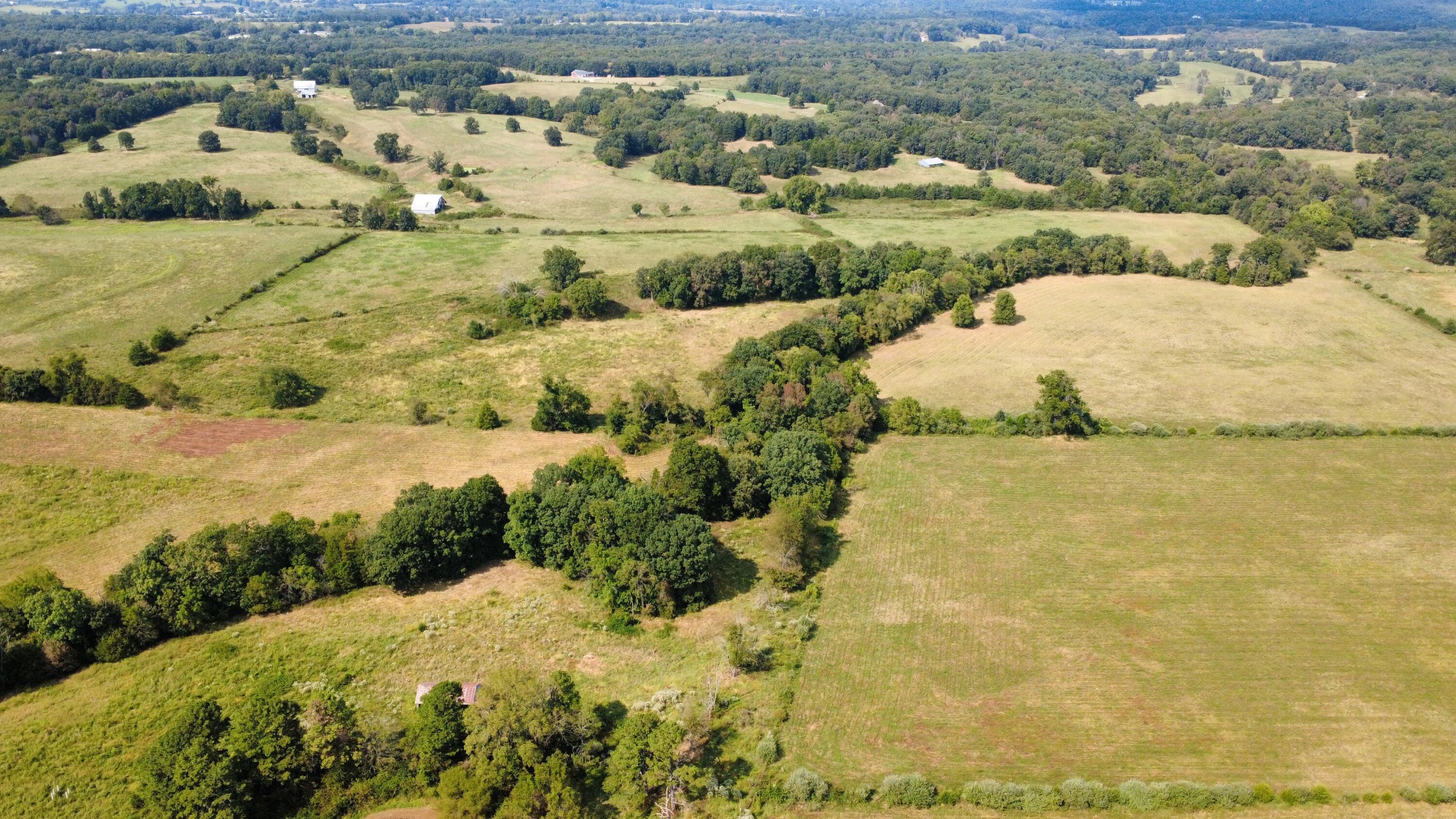 Photo 2 - Land for sale – Tbd  Co Rd 4040   Rolla, MO