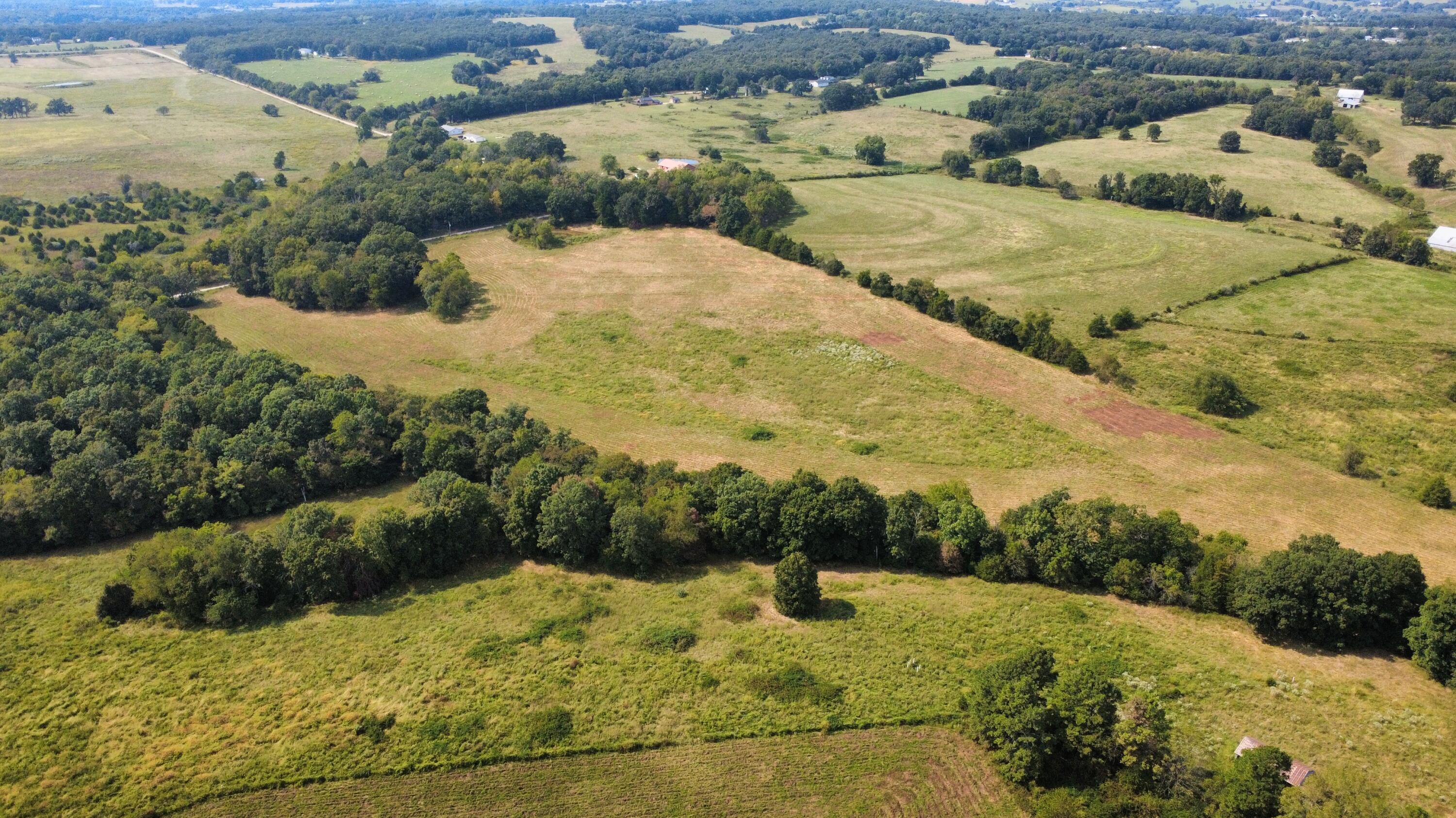 Photo 39 - Land for sale – Tbd  Co Rd 4040   Rolla, MO