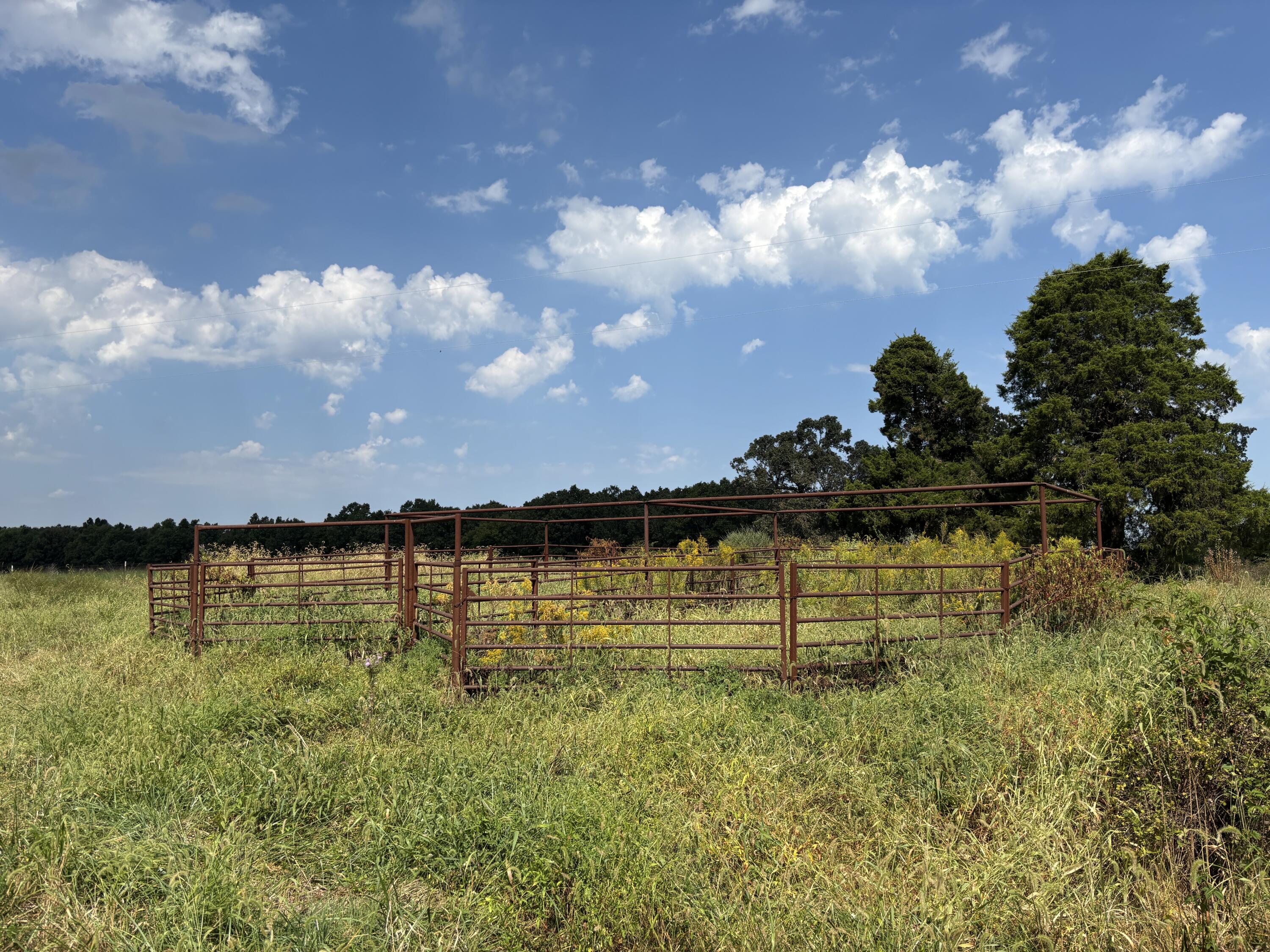 Photo 41 - Land for sale – Tbd  Co Rd 4040   Rolla, MO