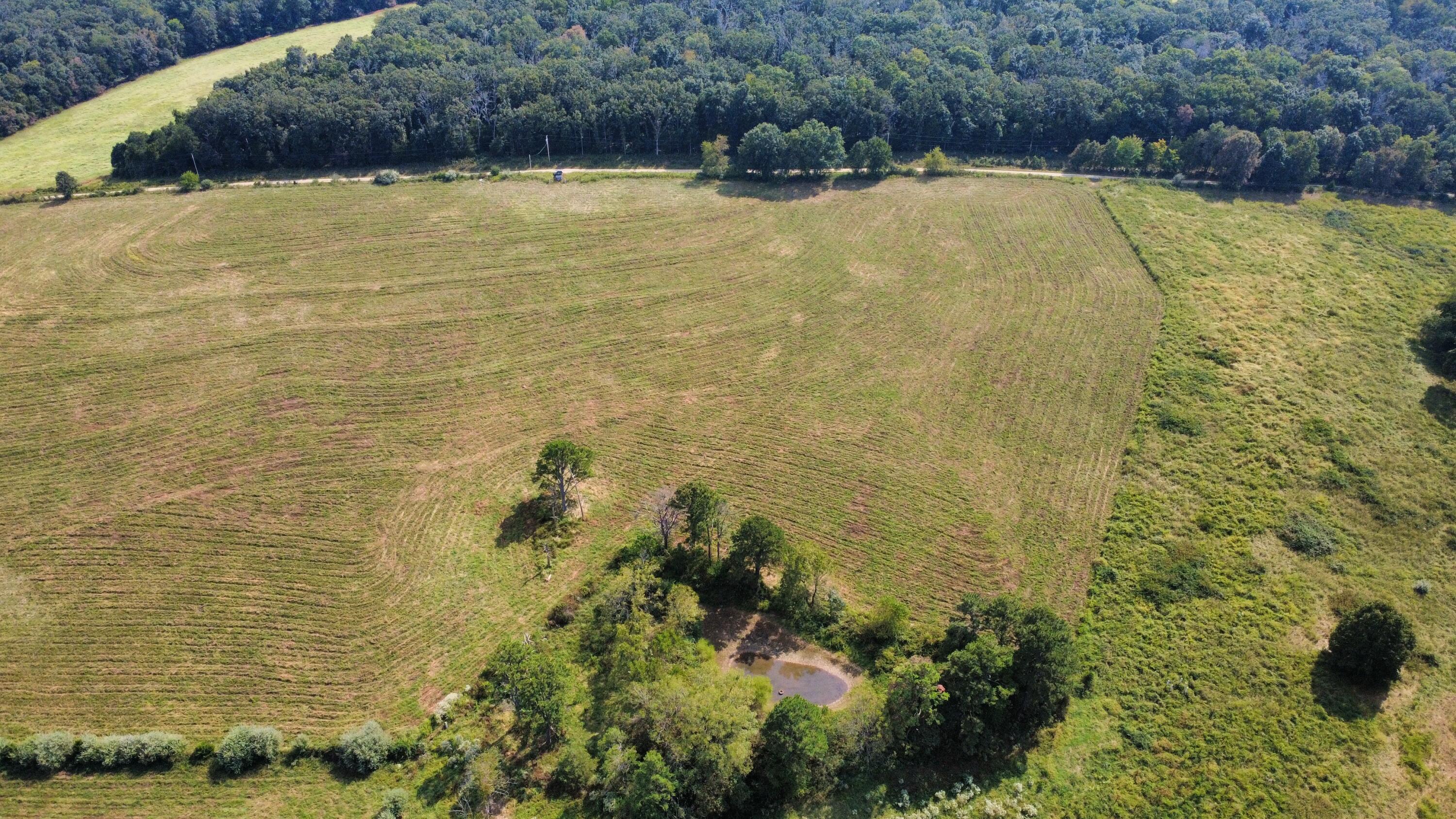 Photo 31 - Land for sale – Tbd  Co Rd 4040   Rolla, MO