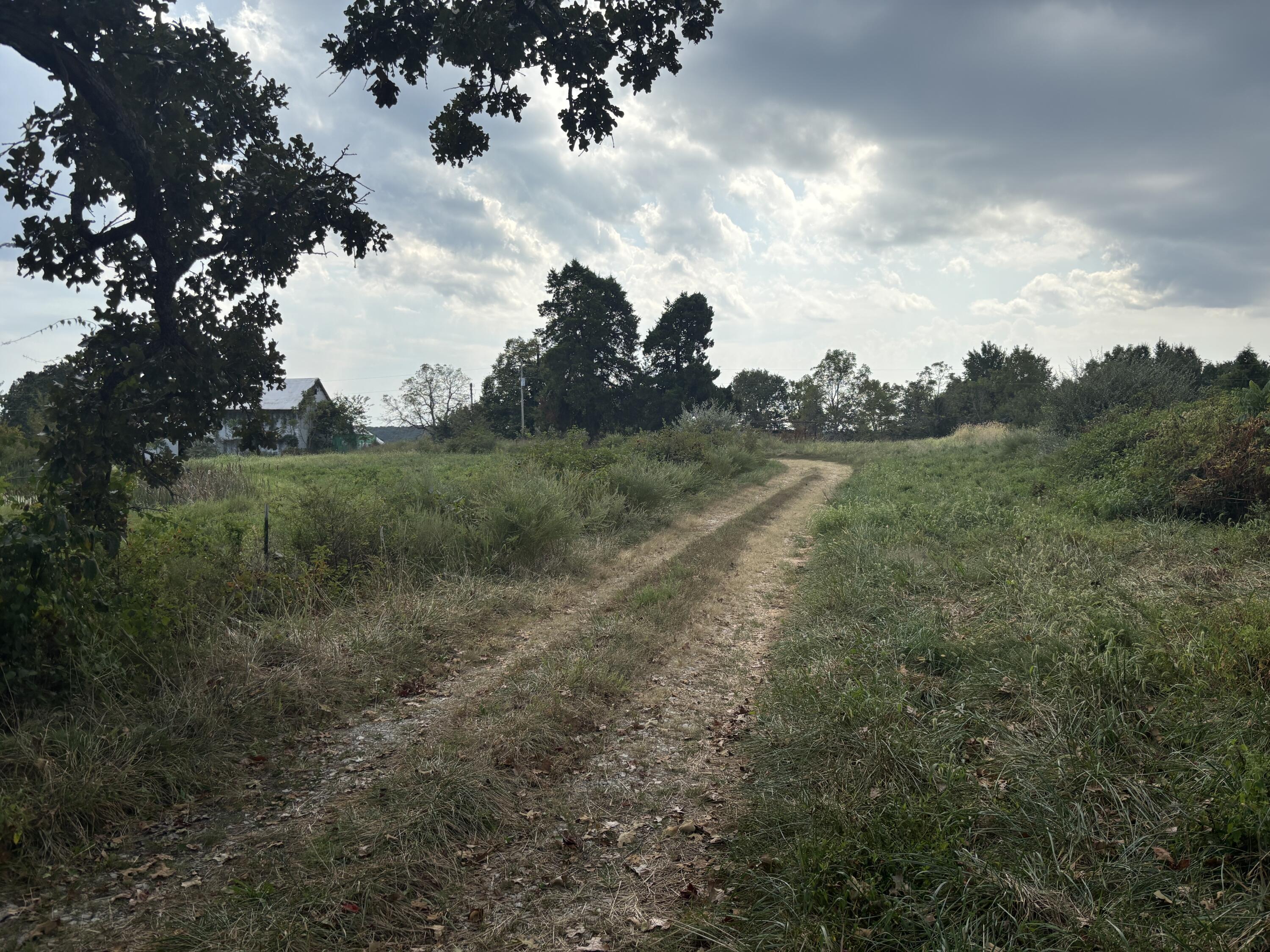 Photo 48 - Land for sale – Tbd  Co Rd 4040   Rolla, MO
