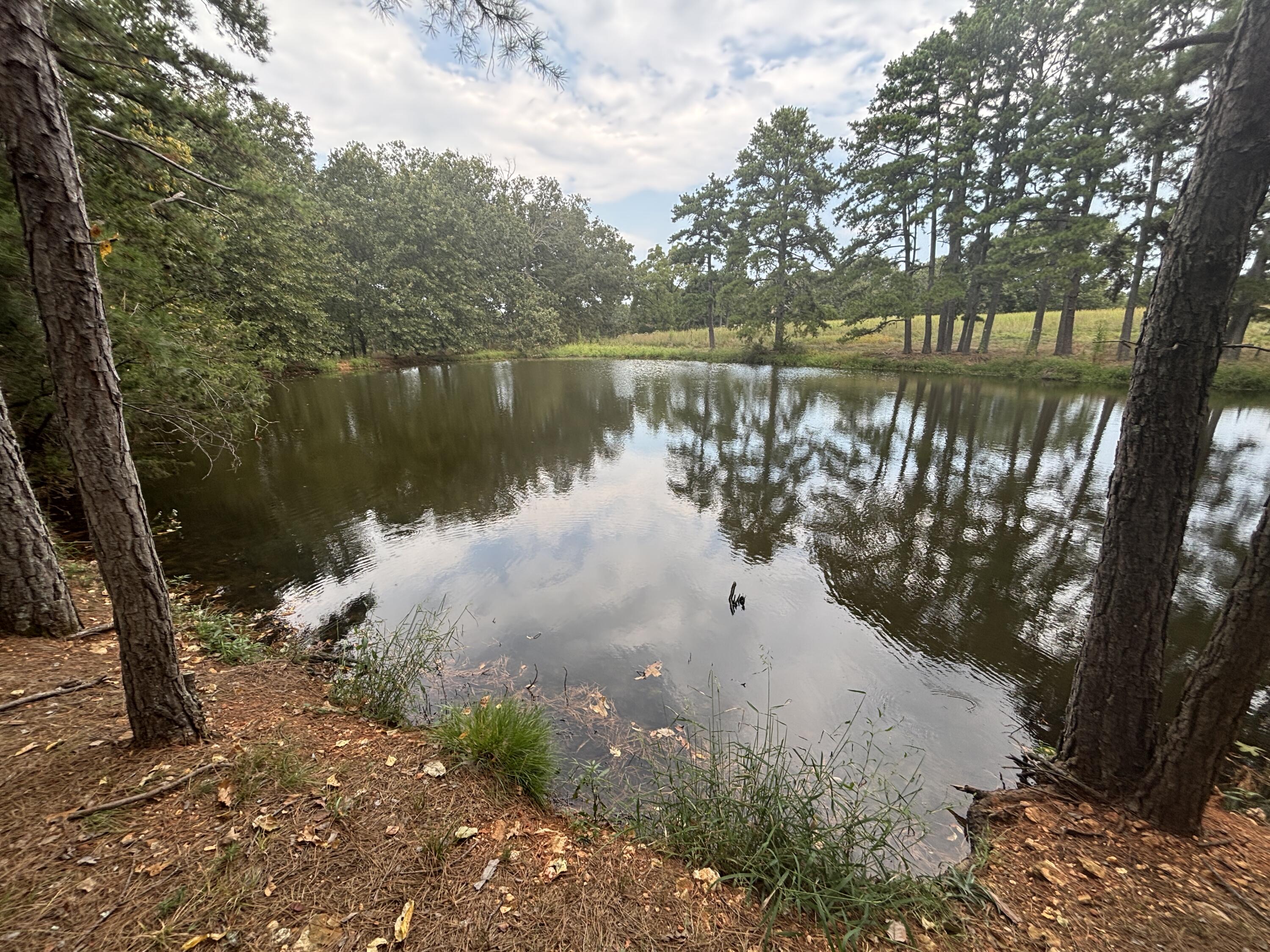 Photo 8 - Land for sale – Tbd  Co Rd 4040   Rolla, MO