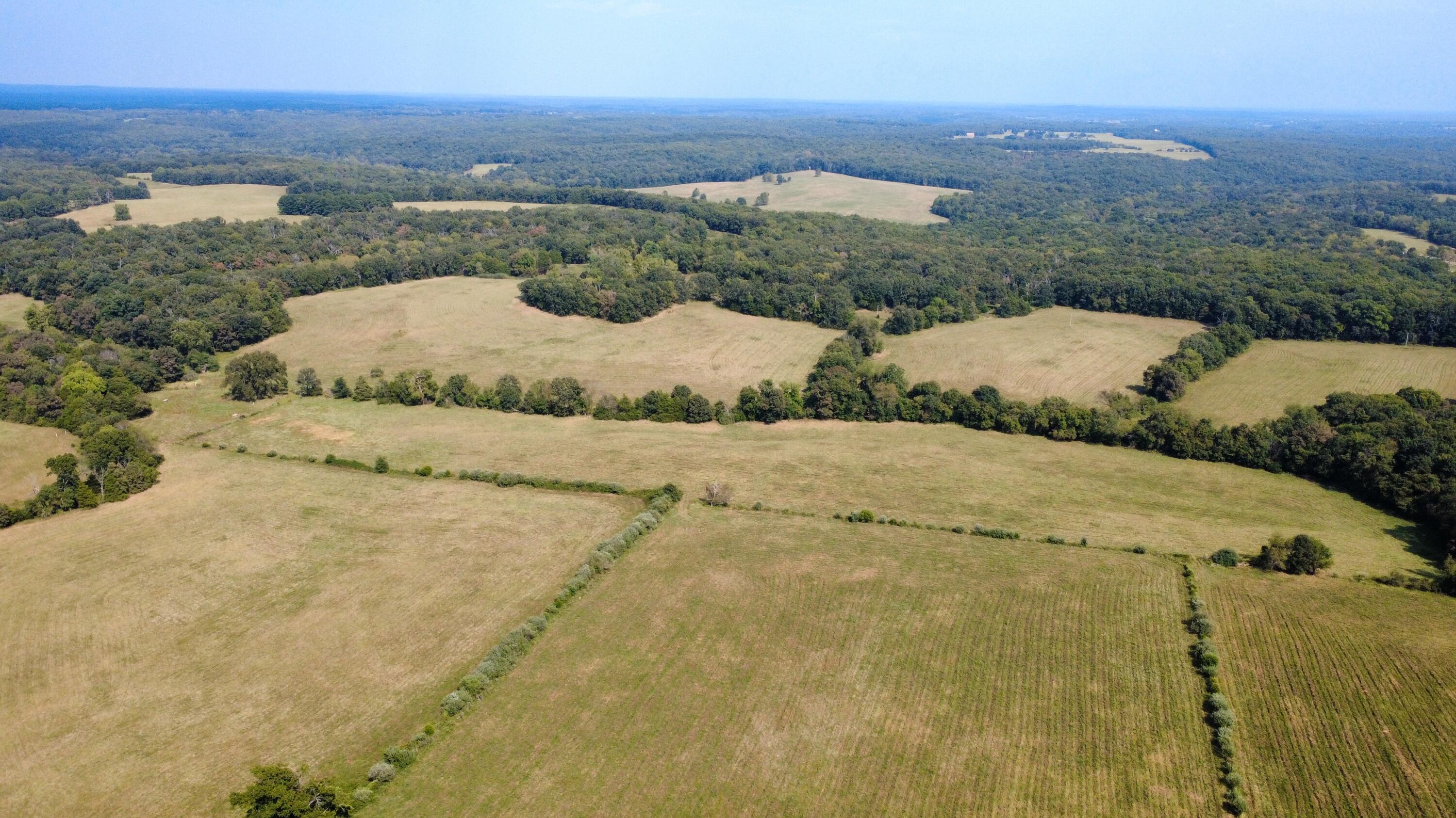 Photo 30 - Land for sale – Tbd  Co Rd 4040   Rolla, MO