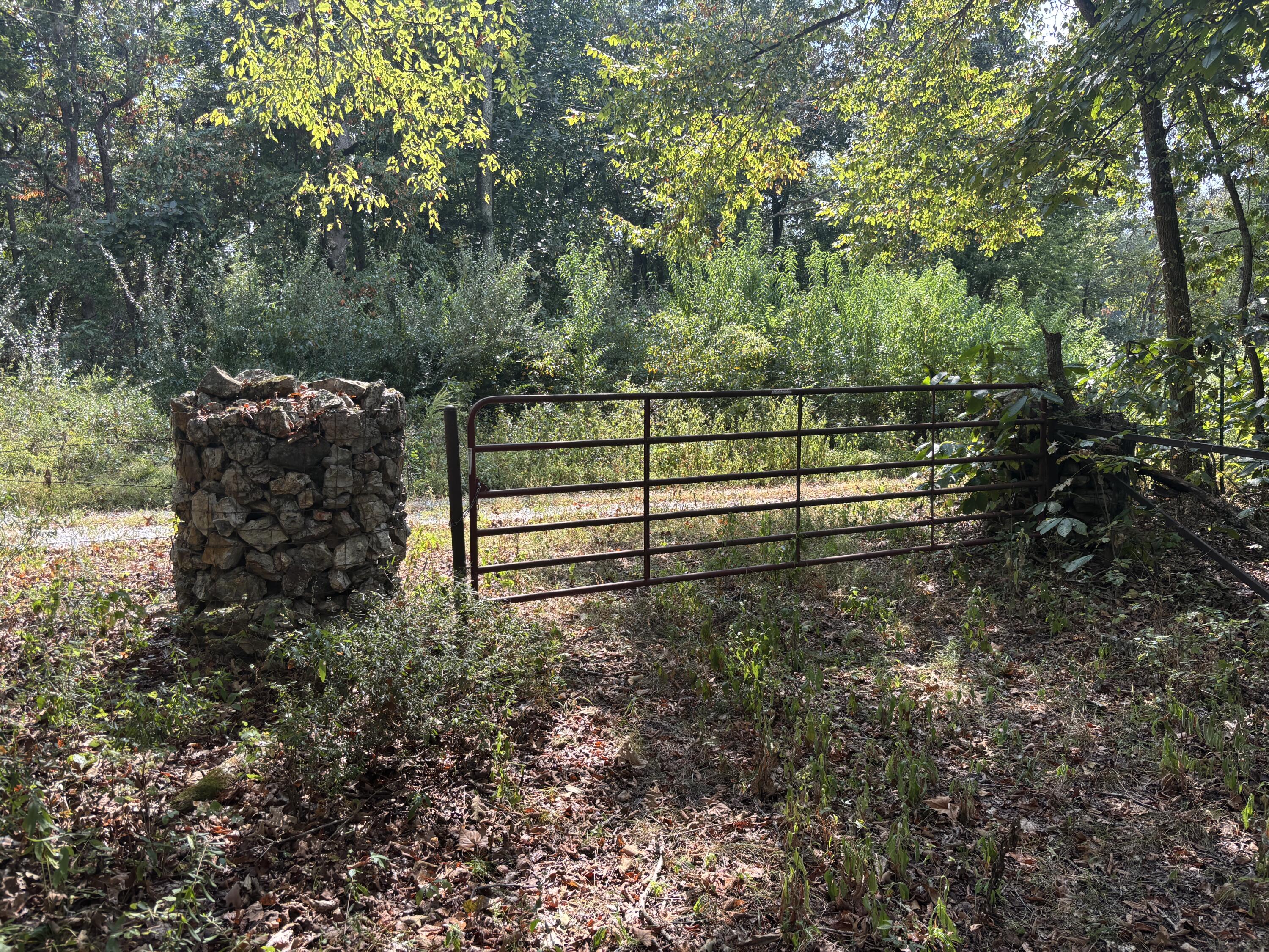 Photo 24 - Land for sale – Tbd  Co Rd 4040   Rolla, MO