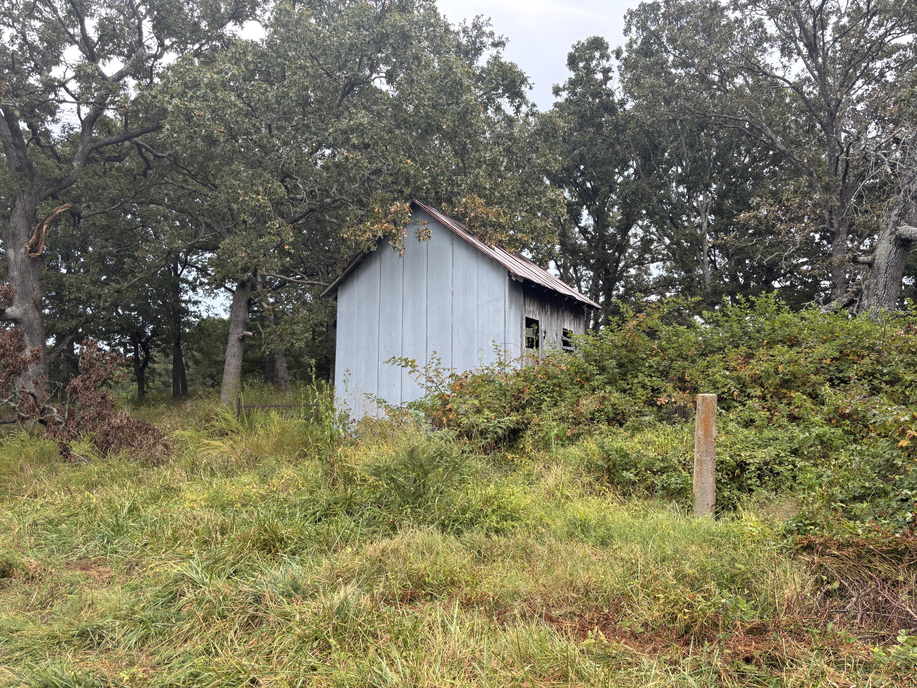 Photo 5 - Land for sale – Tbd  Co Rd 4040   Rolla, MO