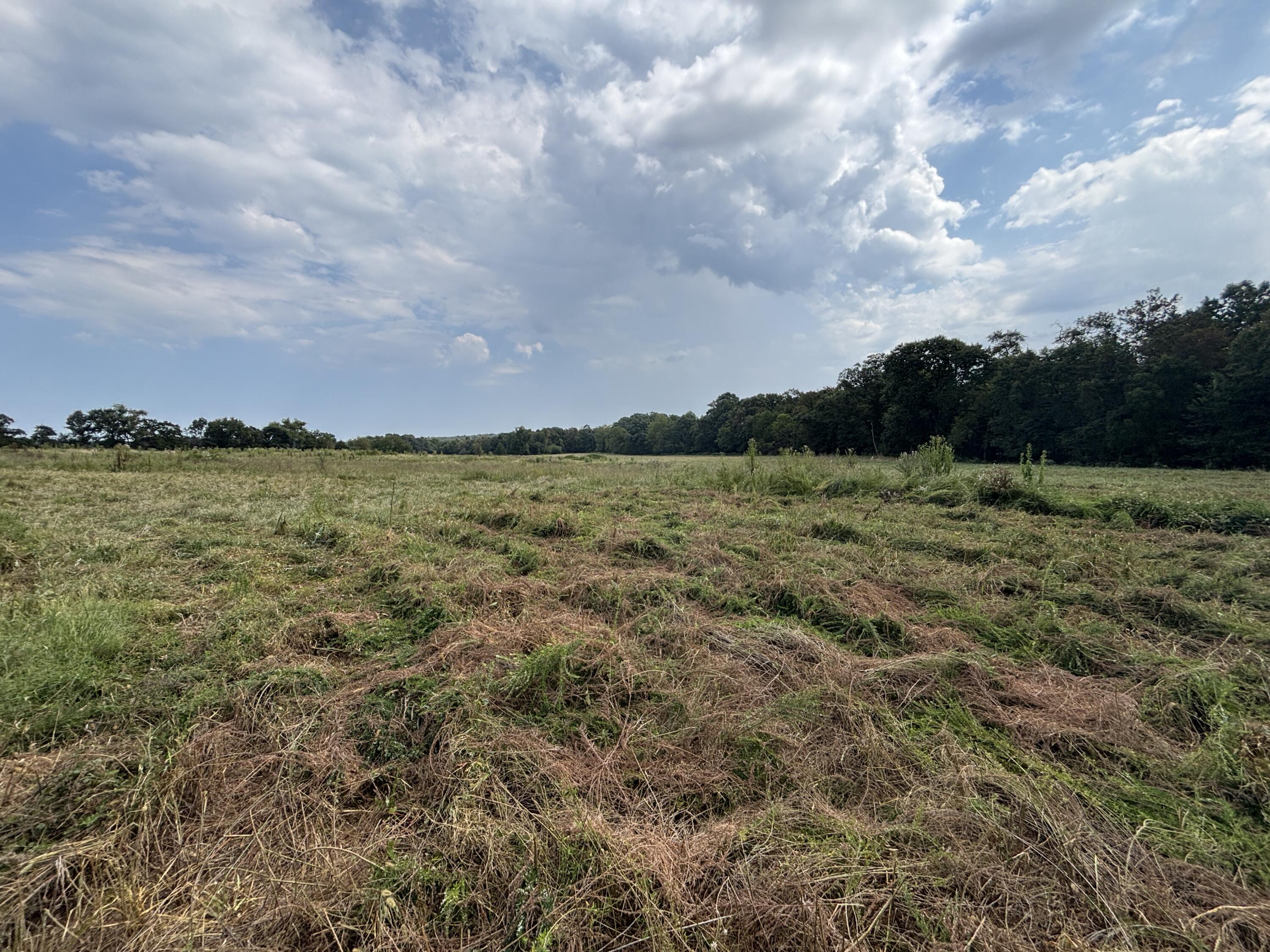 Photo 45 - Land for sale – Tbd  Co Rd 4040   Rolla, MO