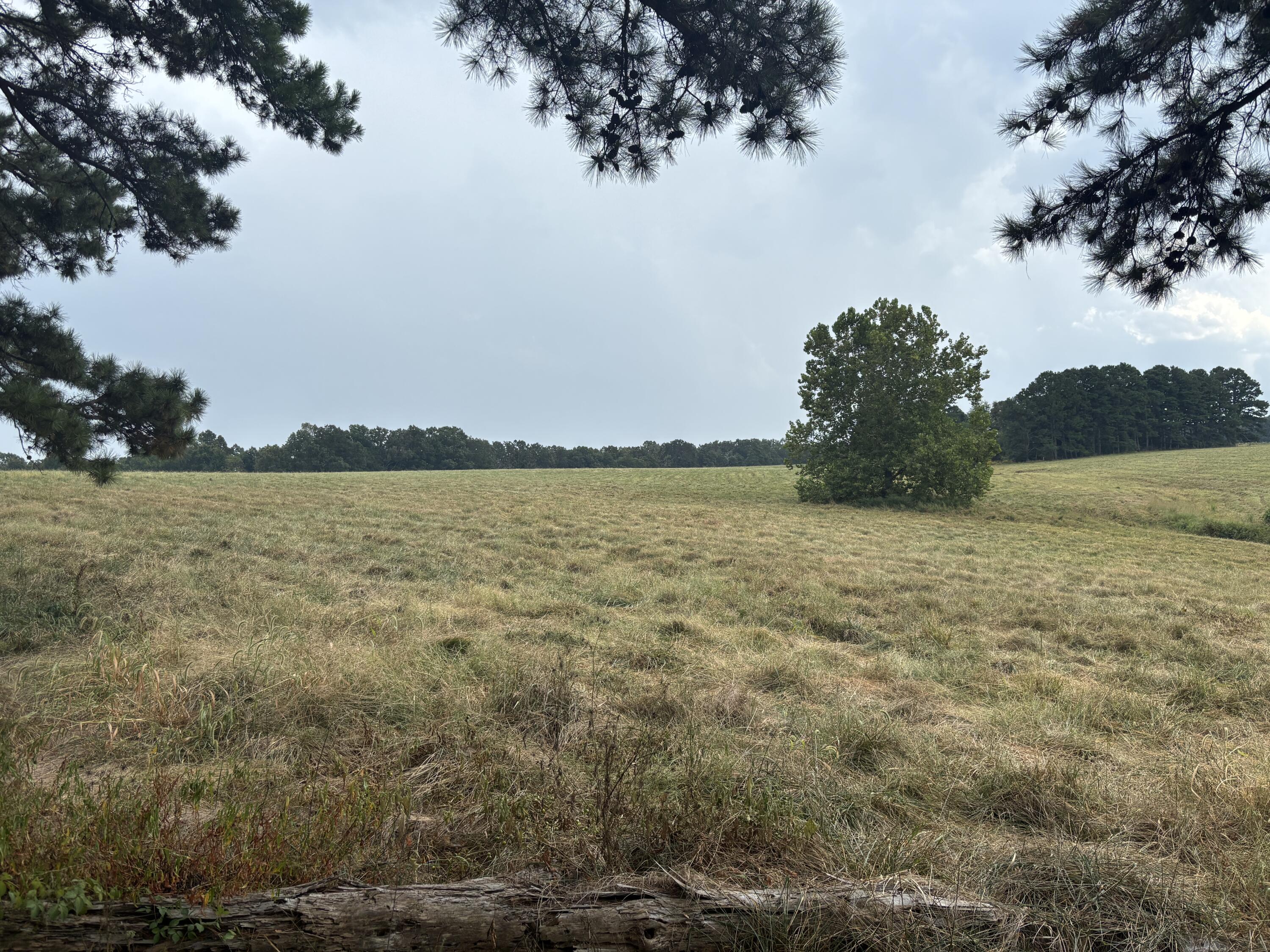 Photo 9 - Land for sale – Tbd  Co Rd 4040   Rolla, MO