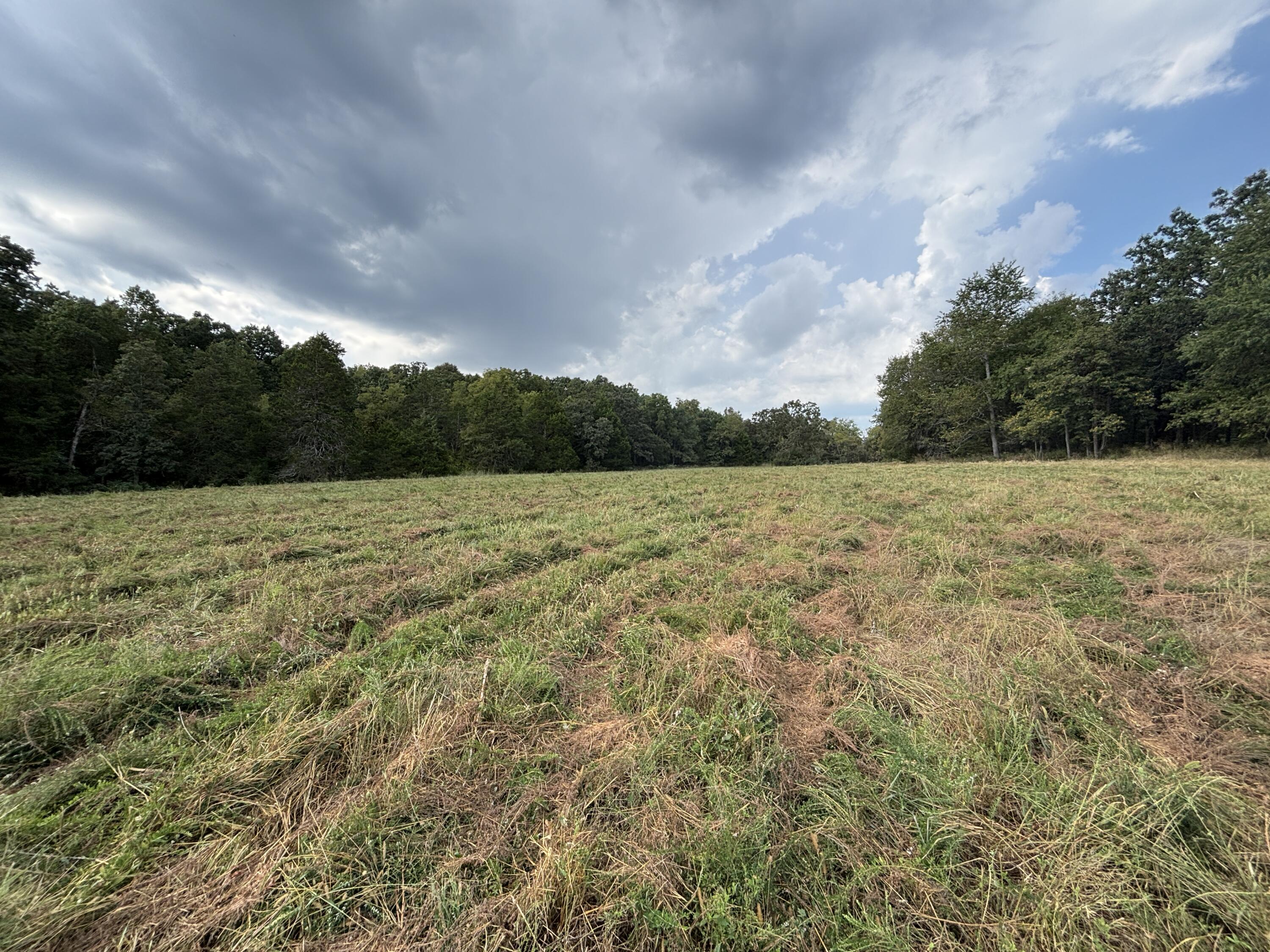 Photo 46 - Land for sale – Tbd  Co Rd 4040   Rolla, MO