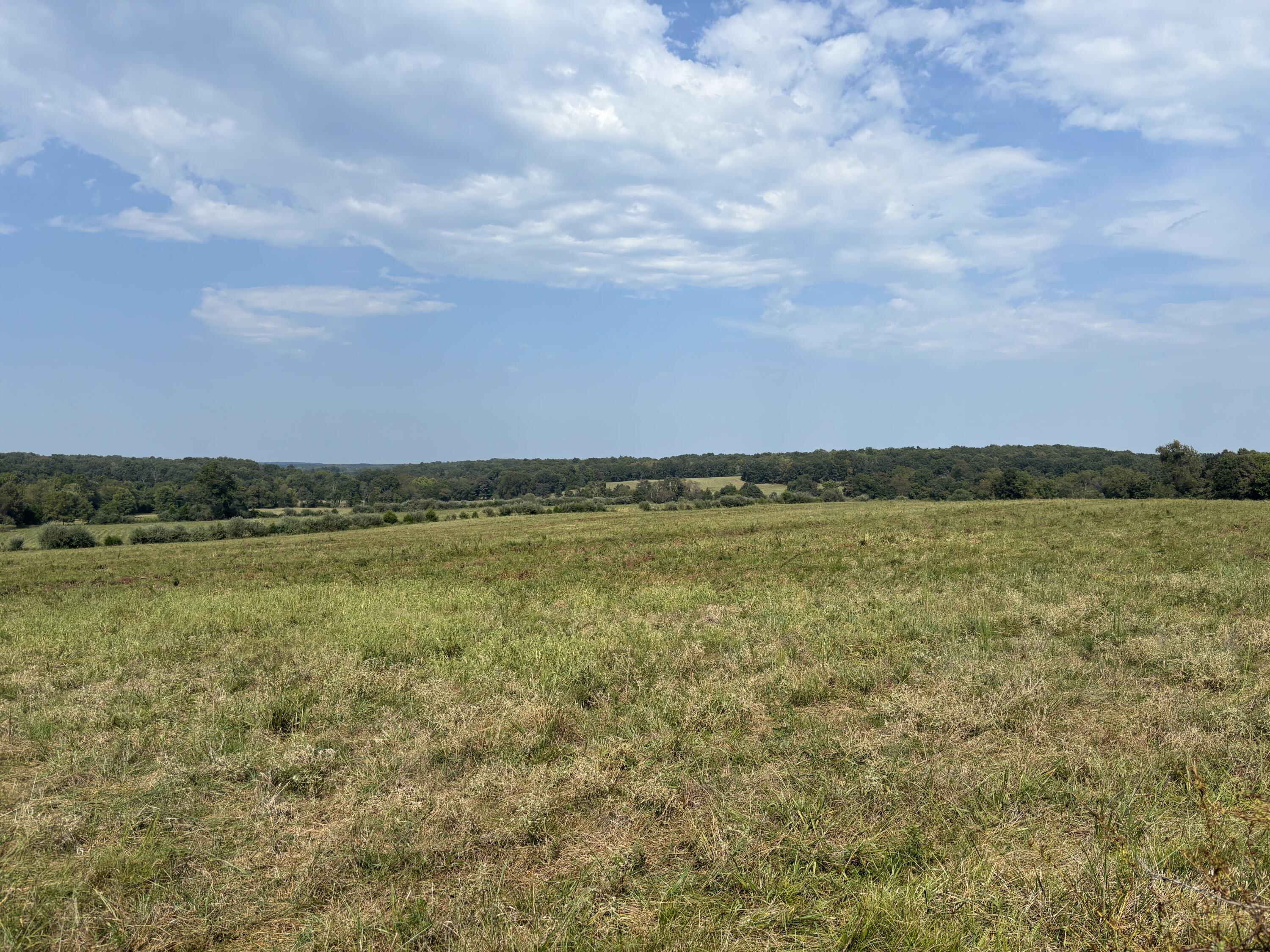 Photo 25 - Land for sale – Tbd  Co Rd 4040   Rolla, MO