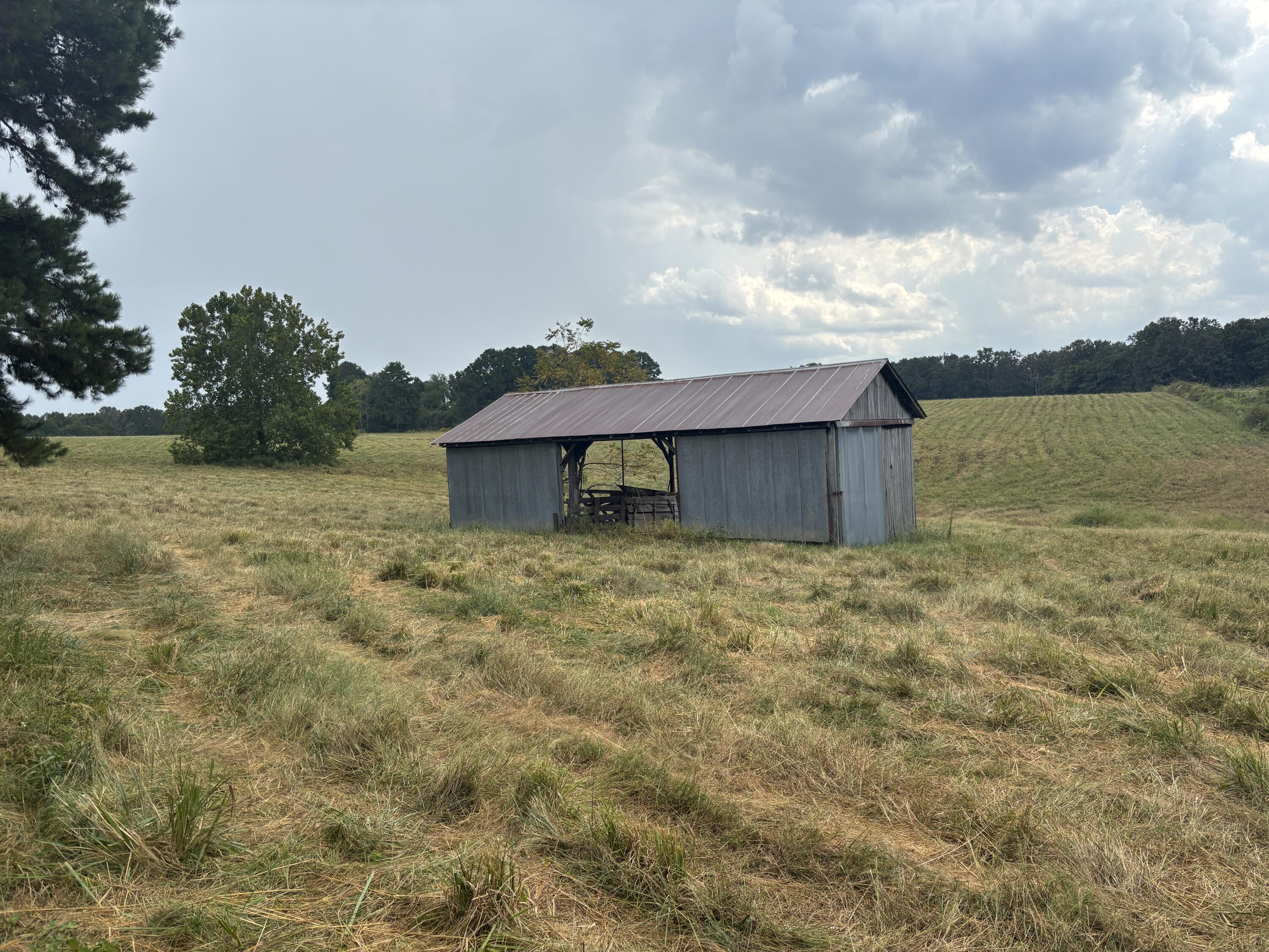 Photo 6 - Land for sale – Tbd  Co Rd 4040   Rolla, MO