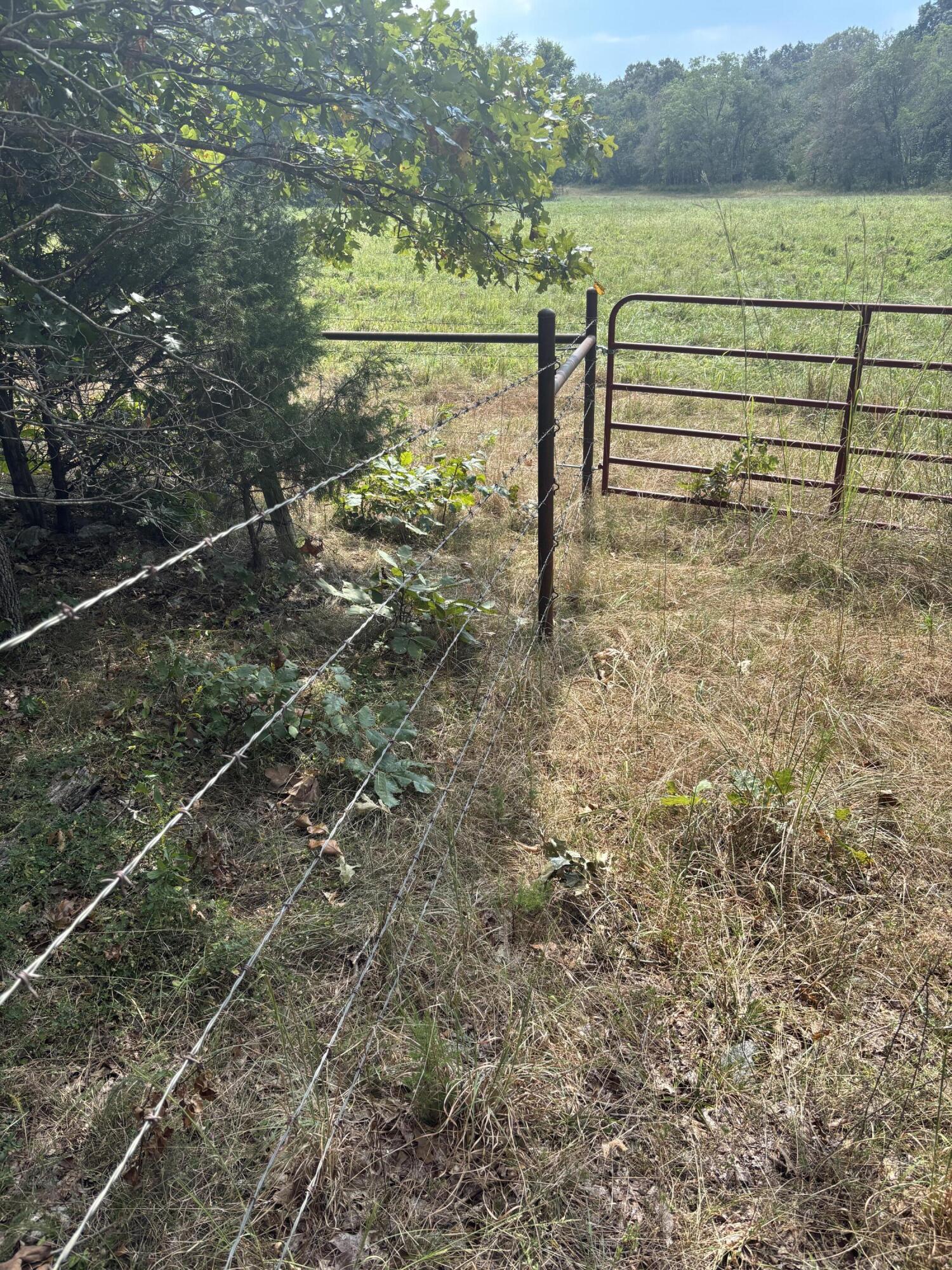 Photo 15 - Land for sale – Tbd  Co Rd 4040   Rolla, MO