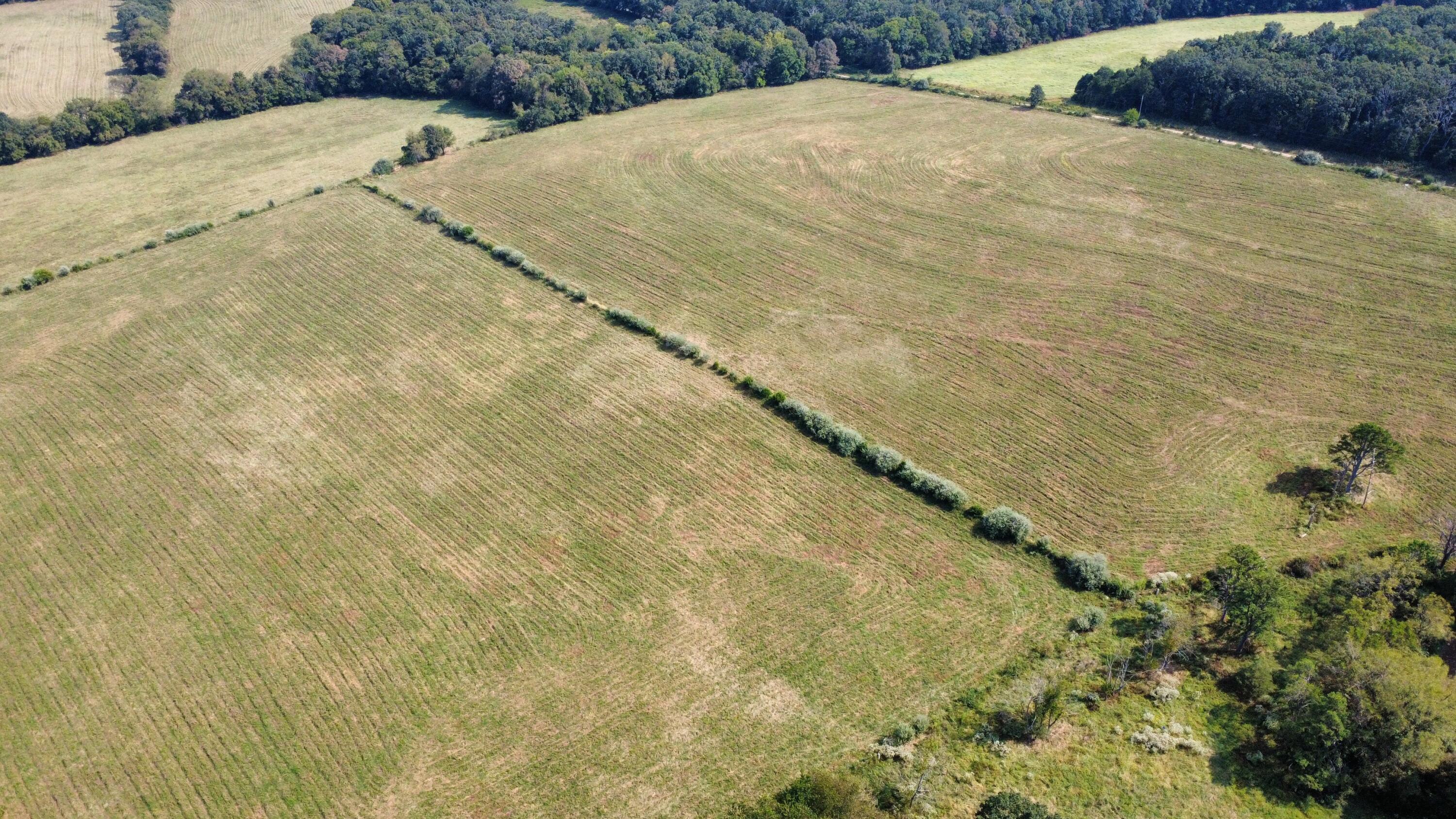Photo 32 - Land for sale – Tbd  Co Rd 4040   Rolla, MO