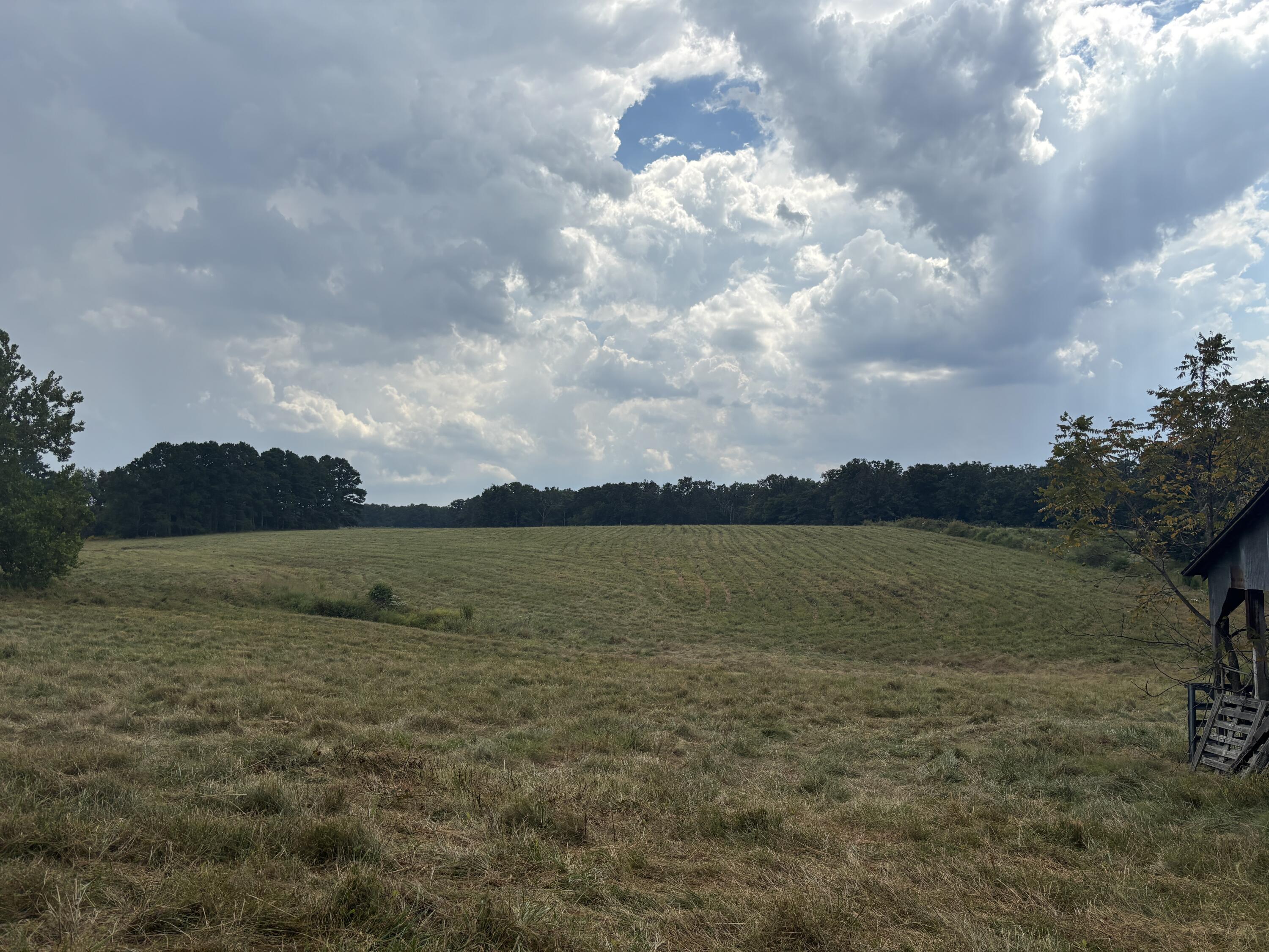 Photo 10 - Land for sale – Tbd  Co Rd 4040   Rolla, MO