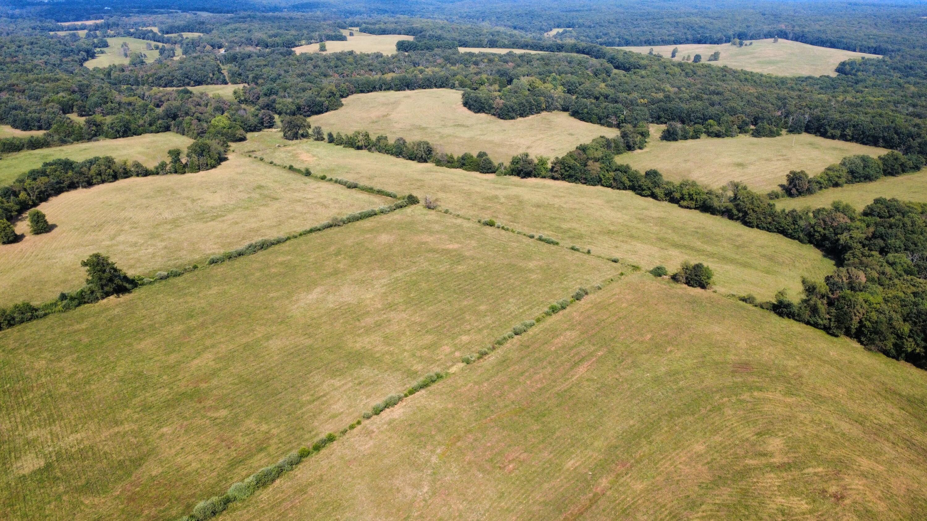 Photo 37 - Land for sale – Tbd  Co Rd 4040   Rolla, MO
