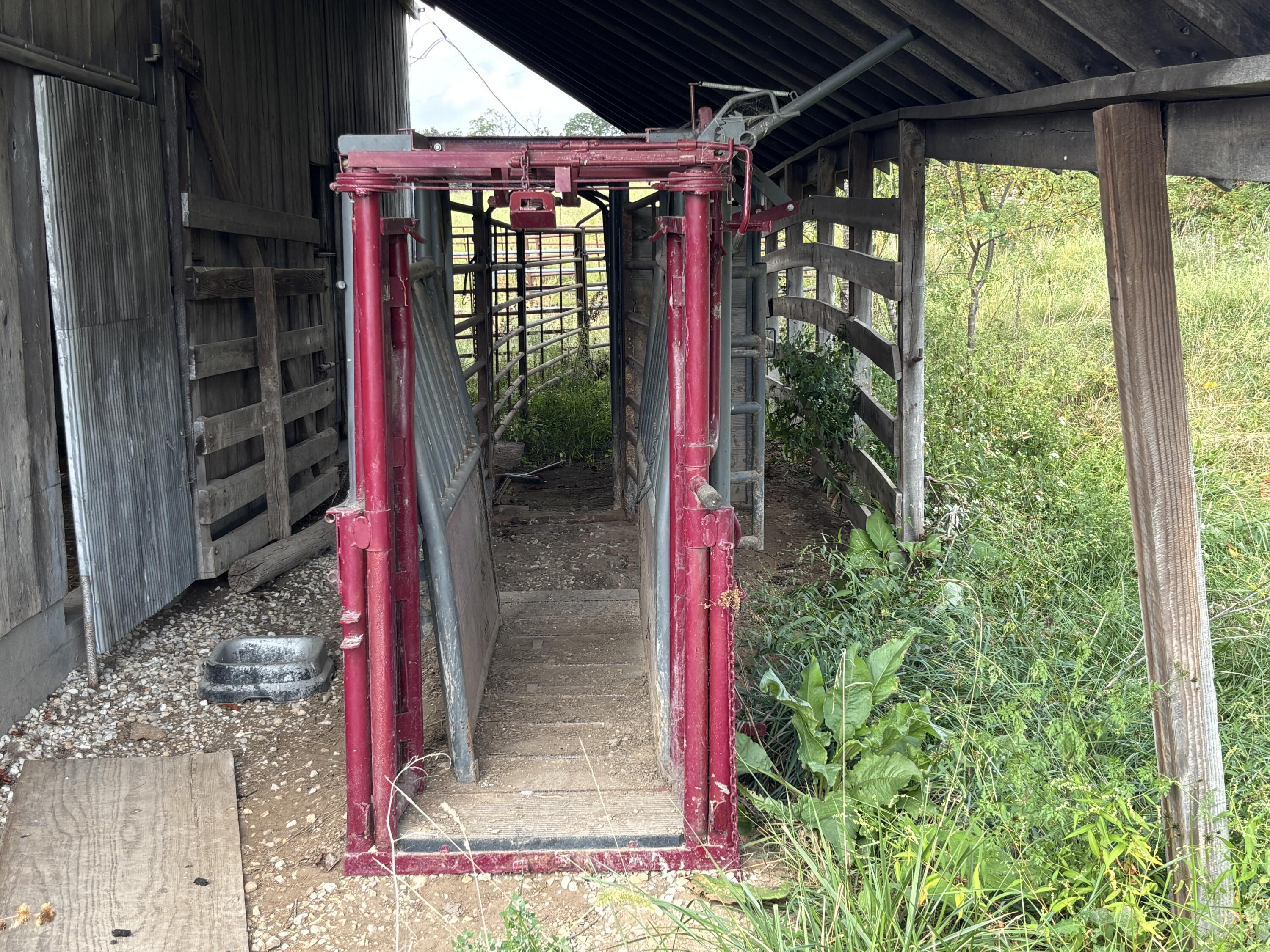 Photo 42 - Land for sale – Tbd  Co Rd 4040   Rolla, MO