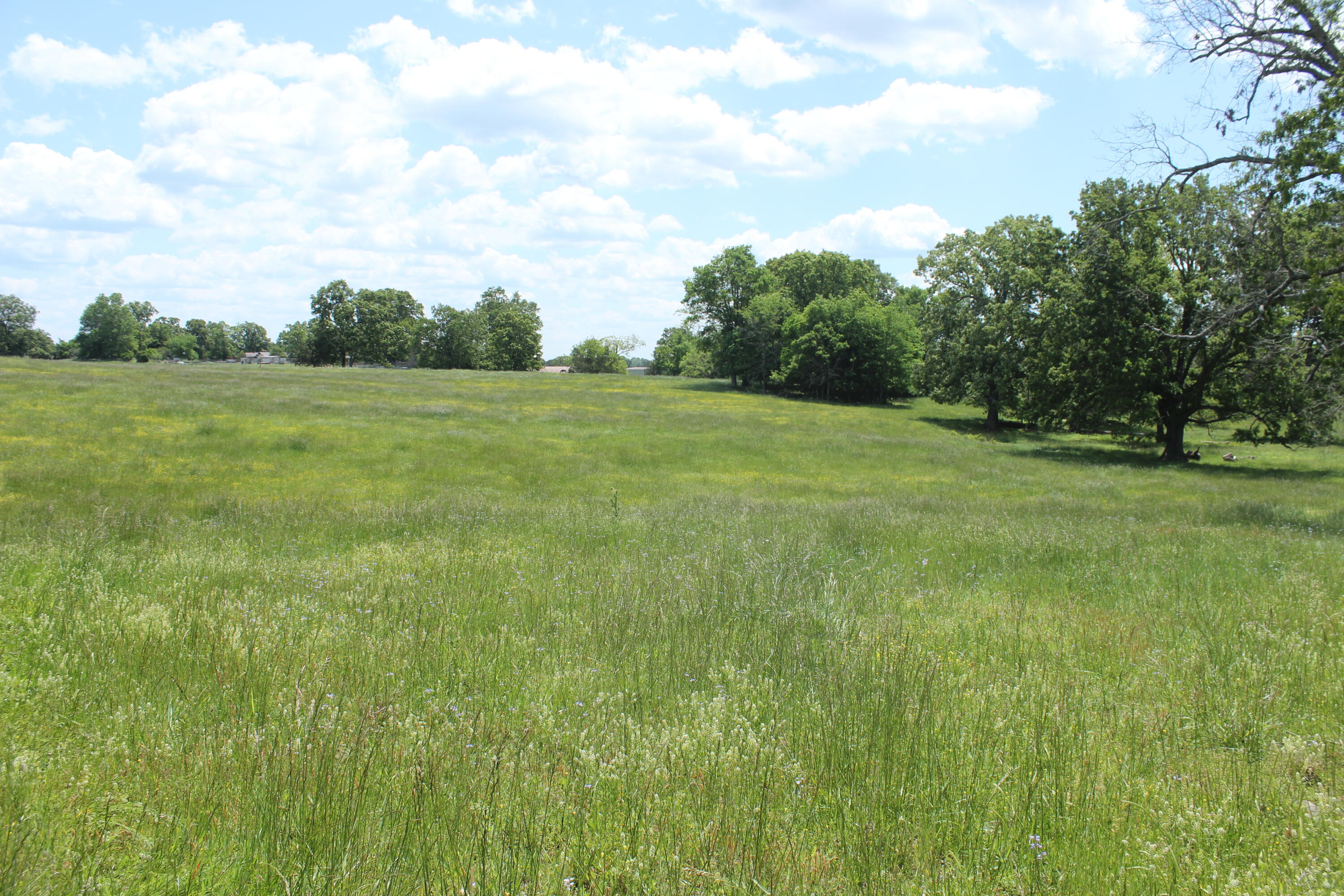 Land for sale – 000  W Highway  Thayer, MO