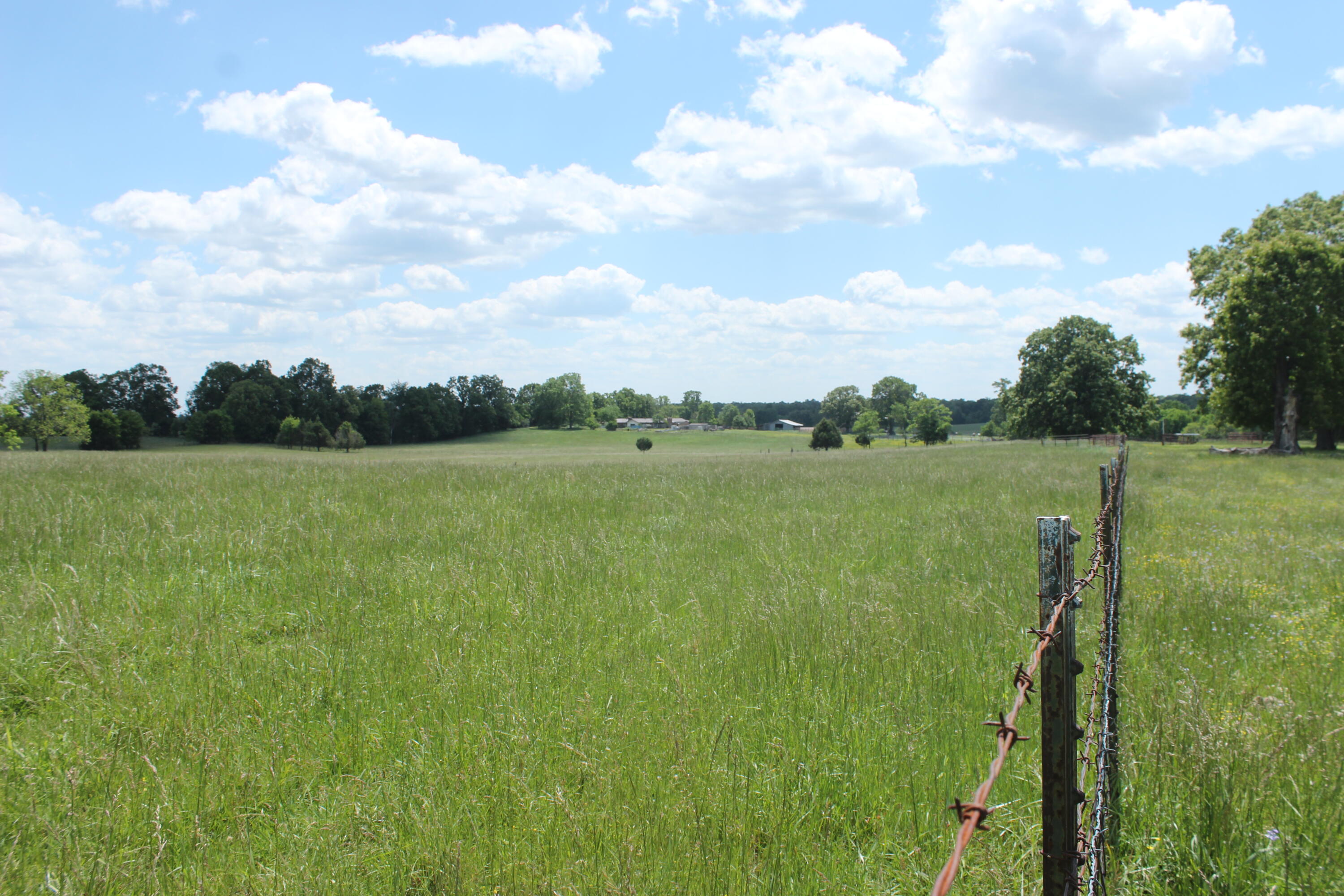 Photo 6 - Land for sale – 000  W Highway  Thayer, MO