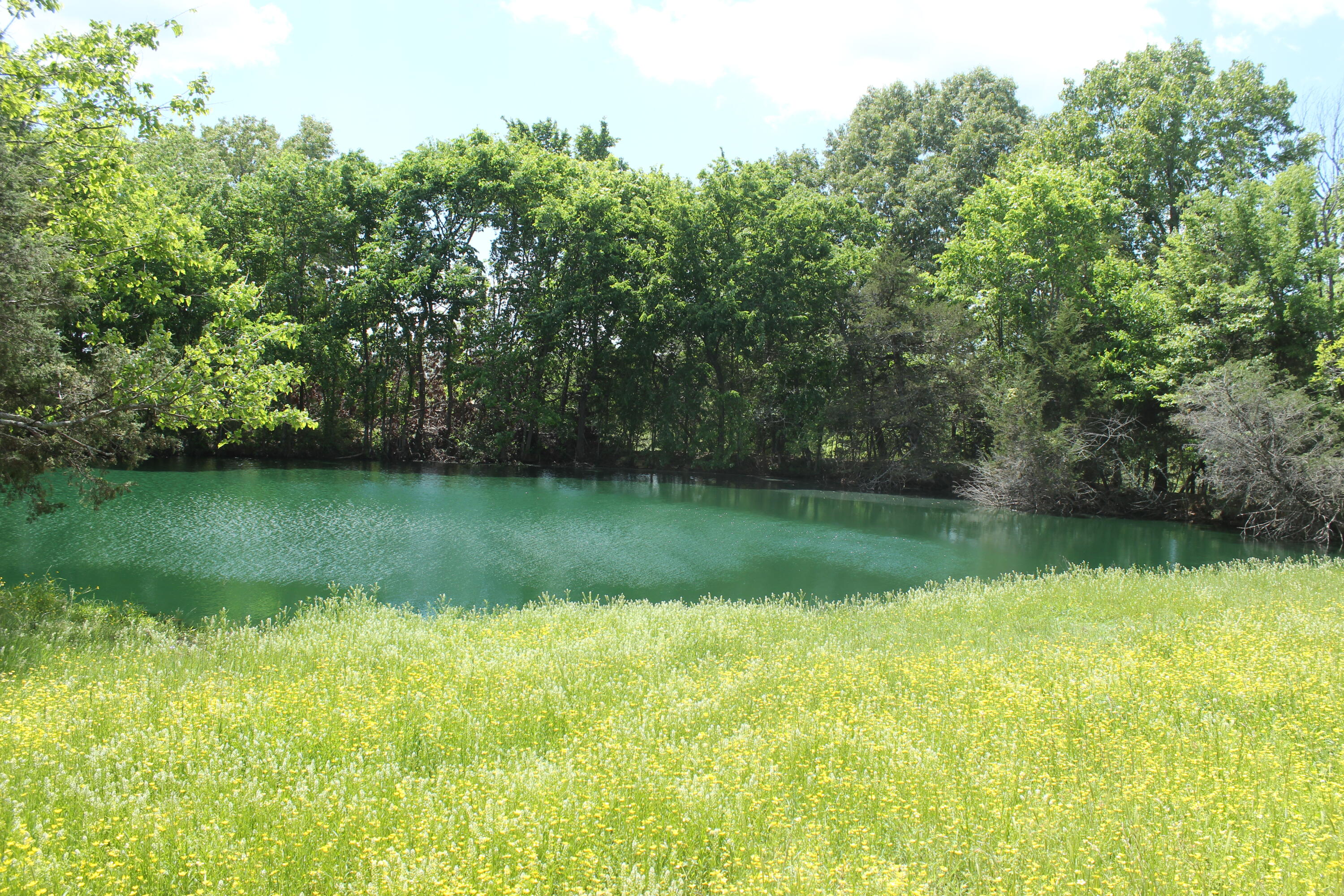 Photo 3 - Land for sale – 000  W Highway  Thayer, MO
