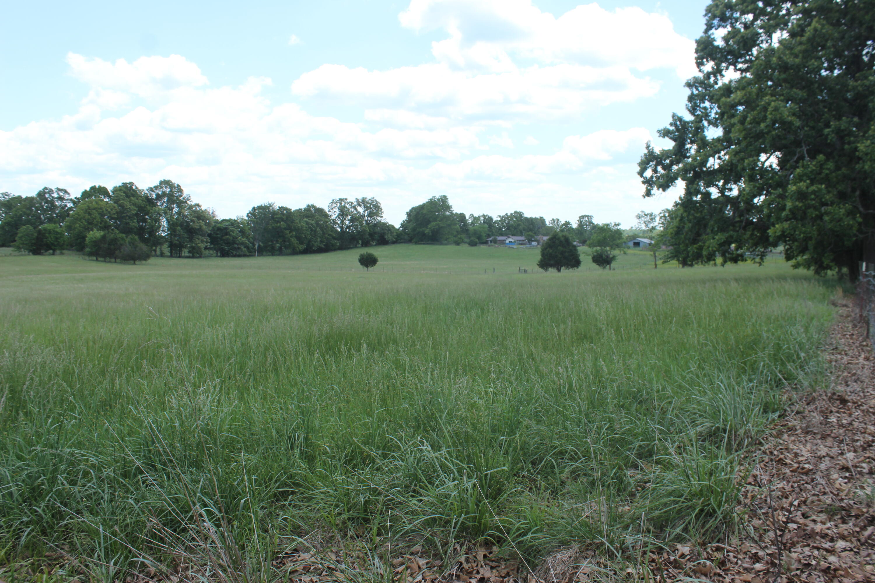 Photo 5 - Land for sale – 000  W Highway  Thayer, MO