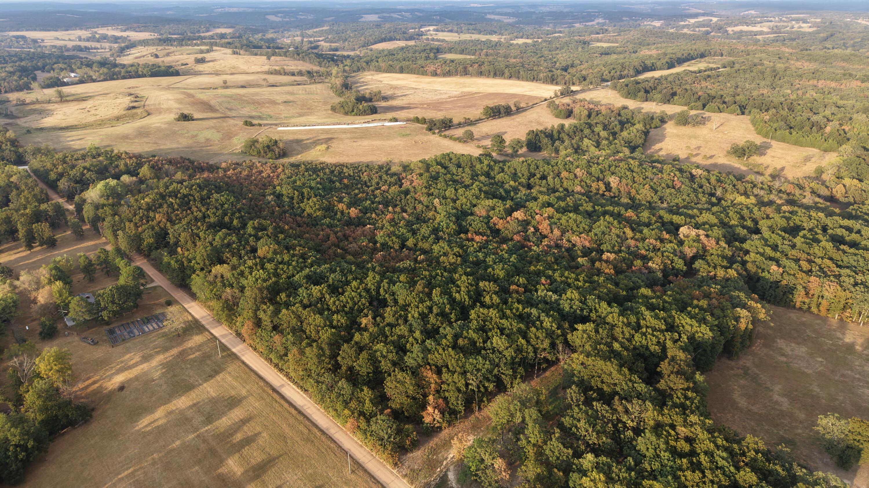 Land for sale – 4134  Hatfield Road  Norwood, MO