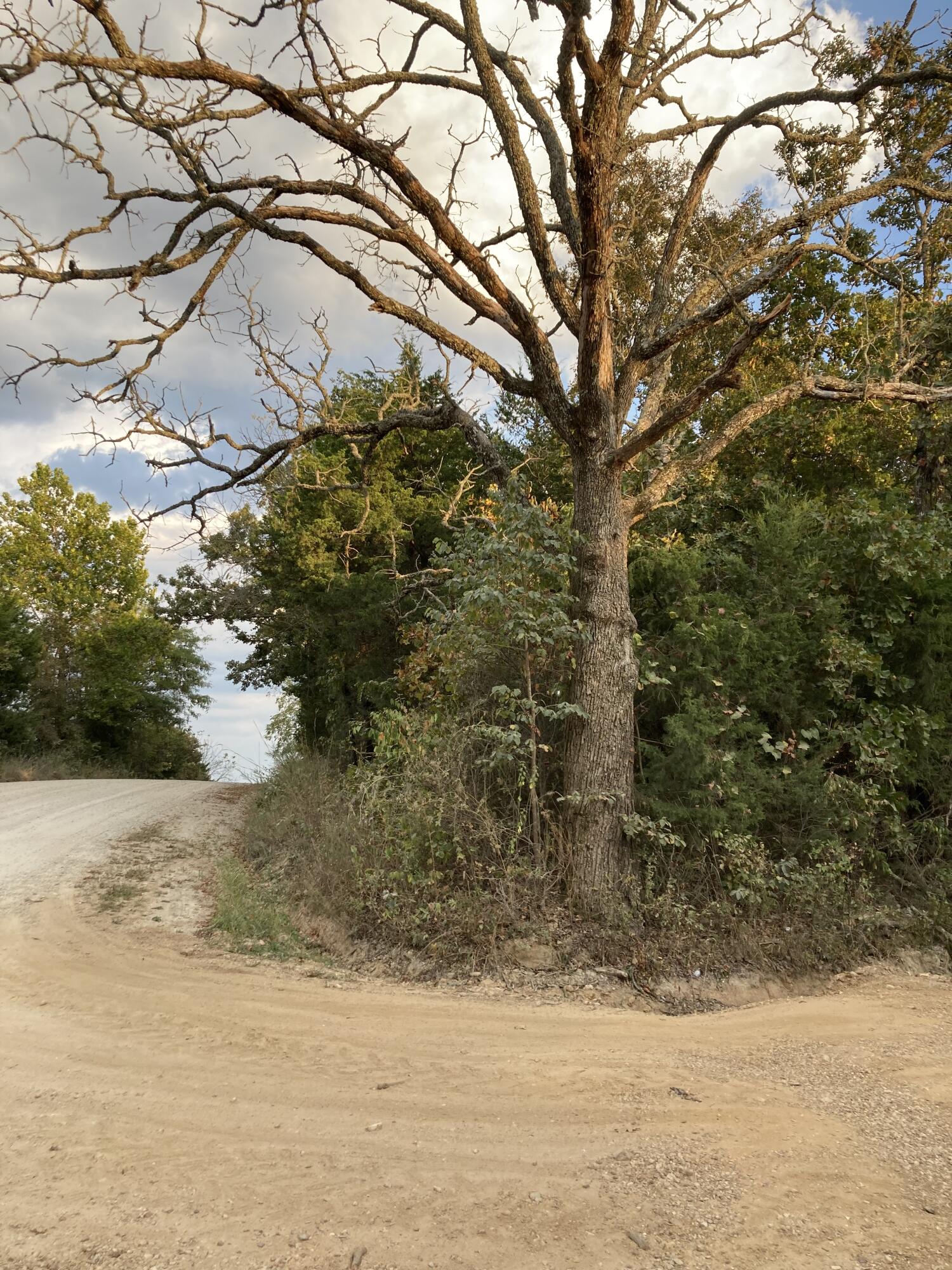 Photo 13 - Land for sale – 4134  Hatfield Road  Norwood, MO